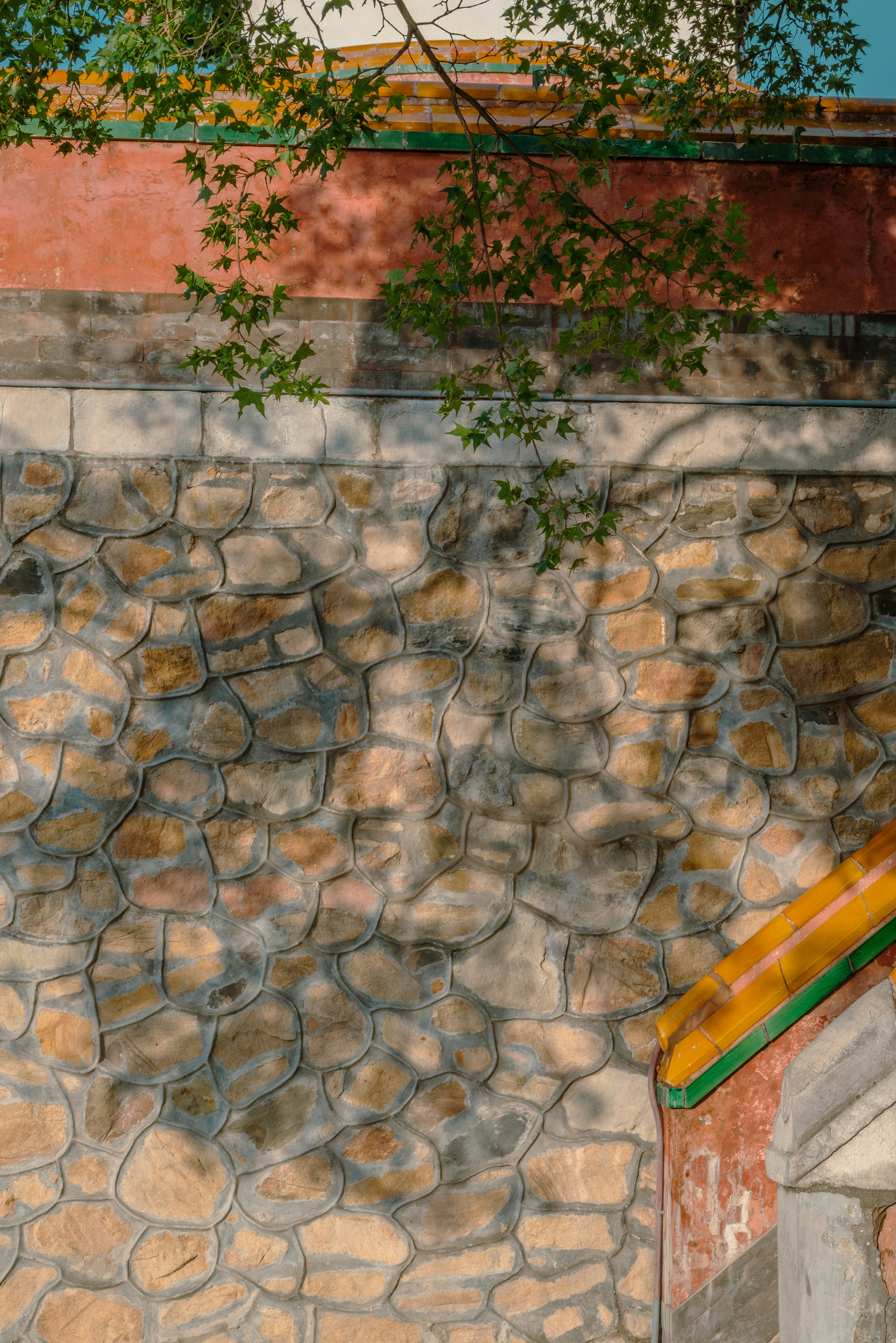 Photo by nikol_royce