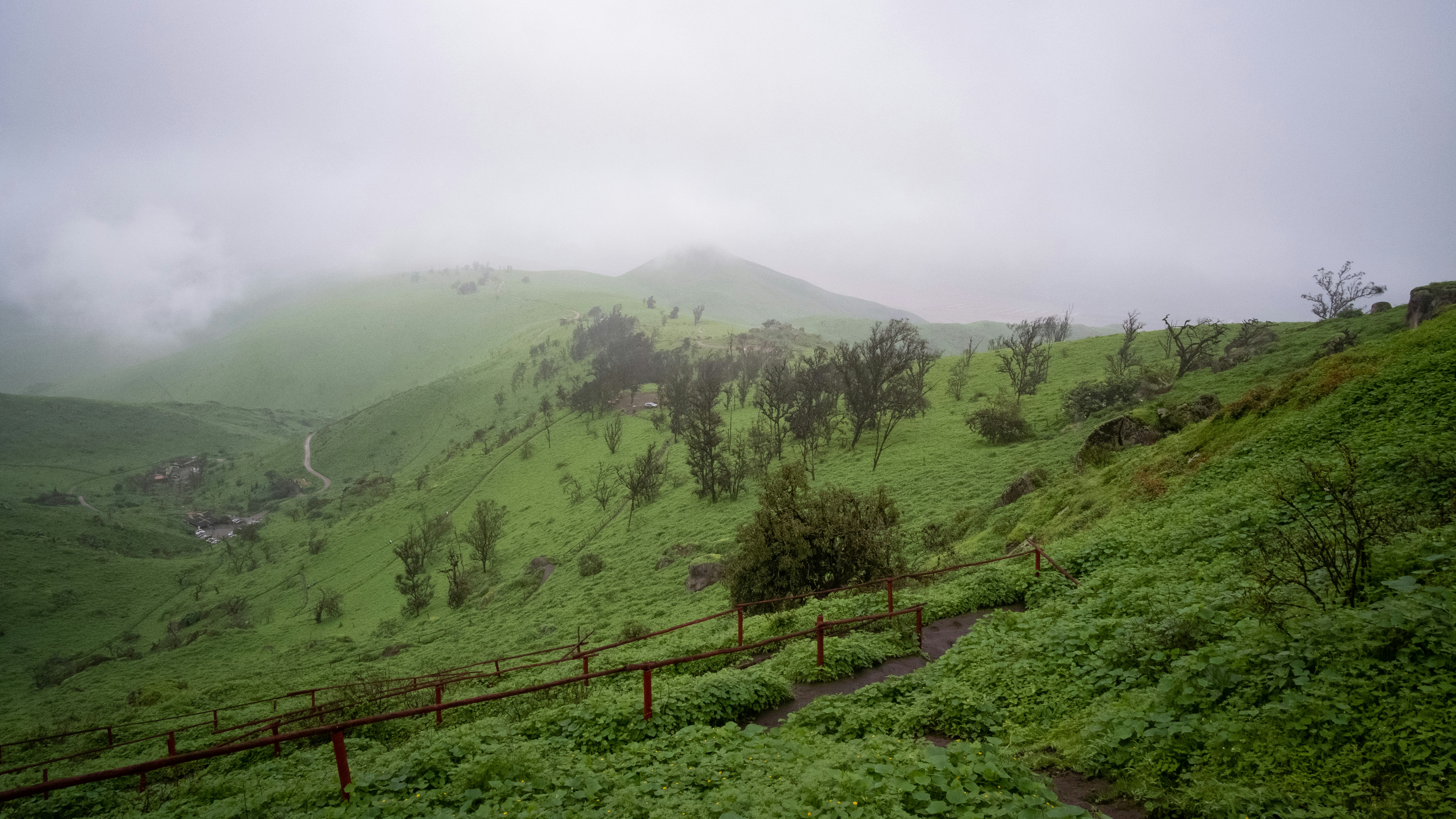 Photo by correliebre