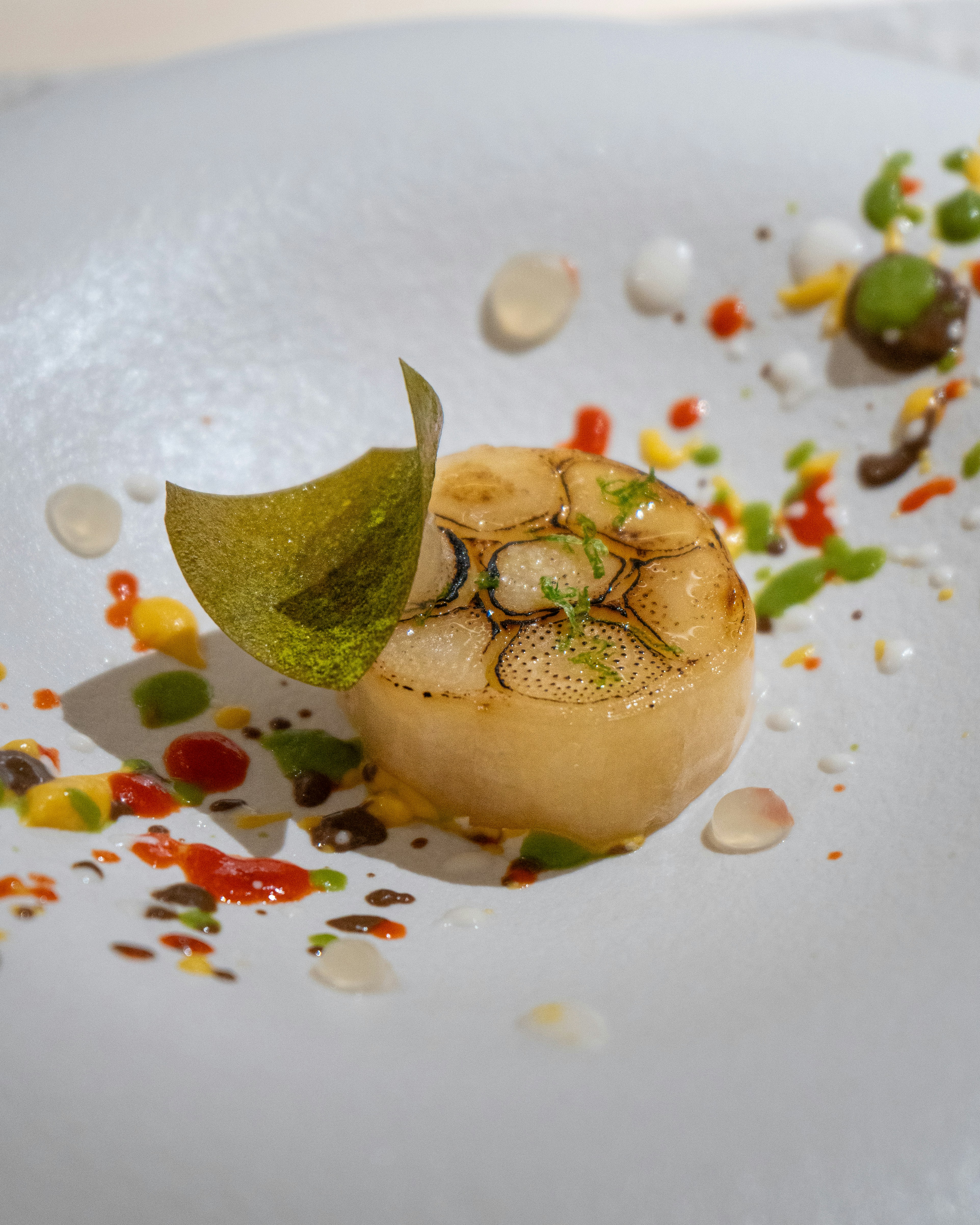 Photo by harrisonchang