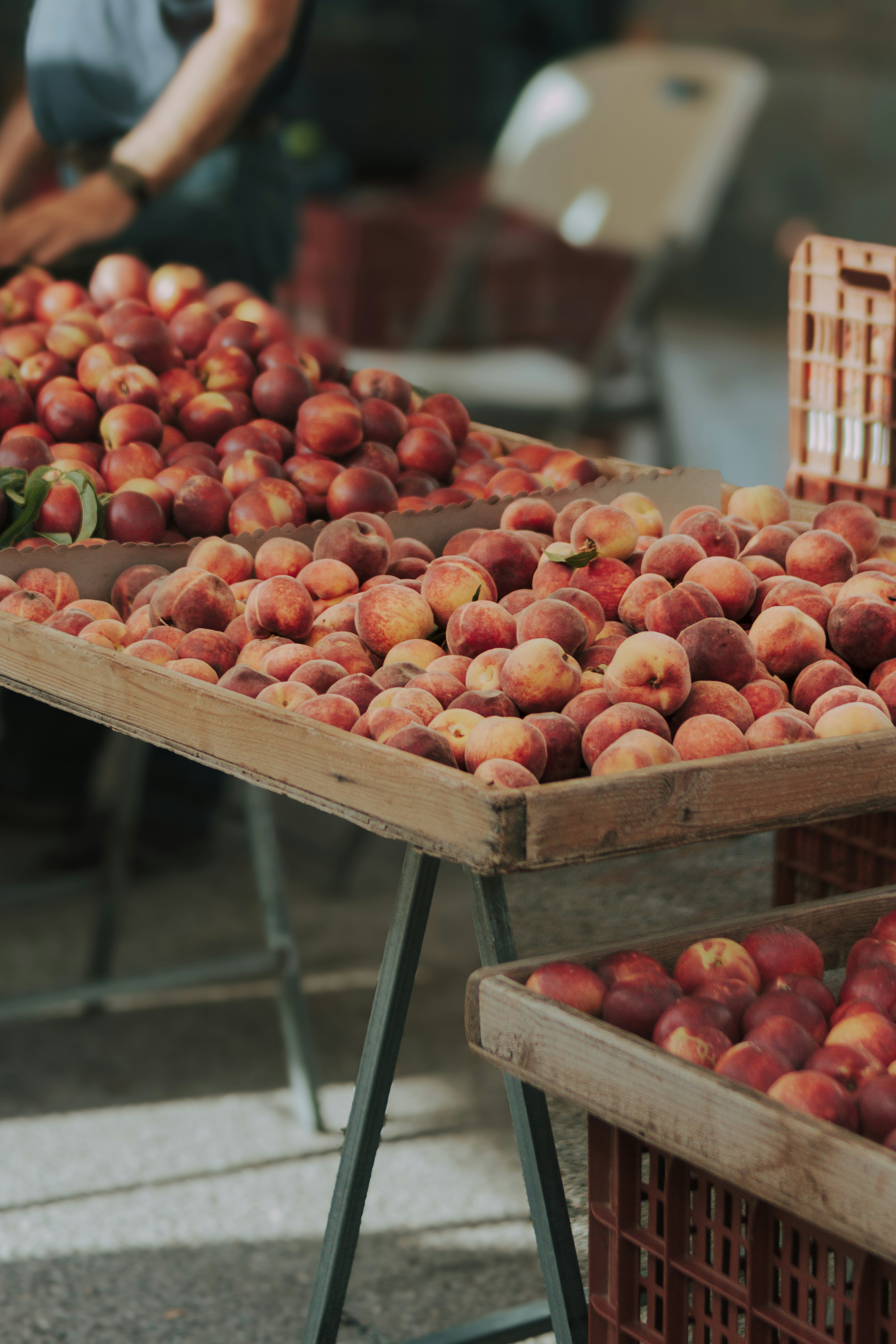 Photo by svitlana_rusak