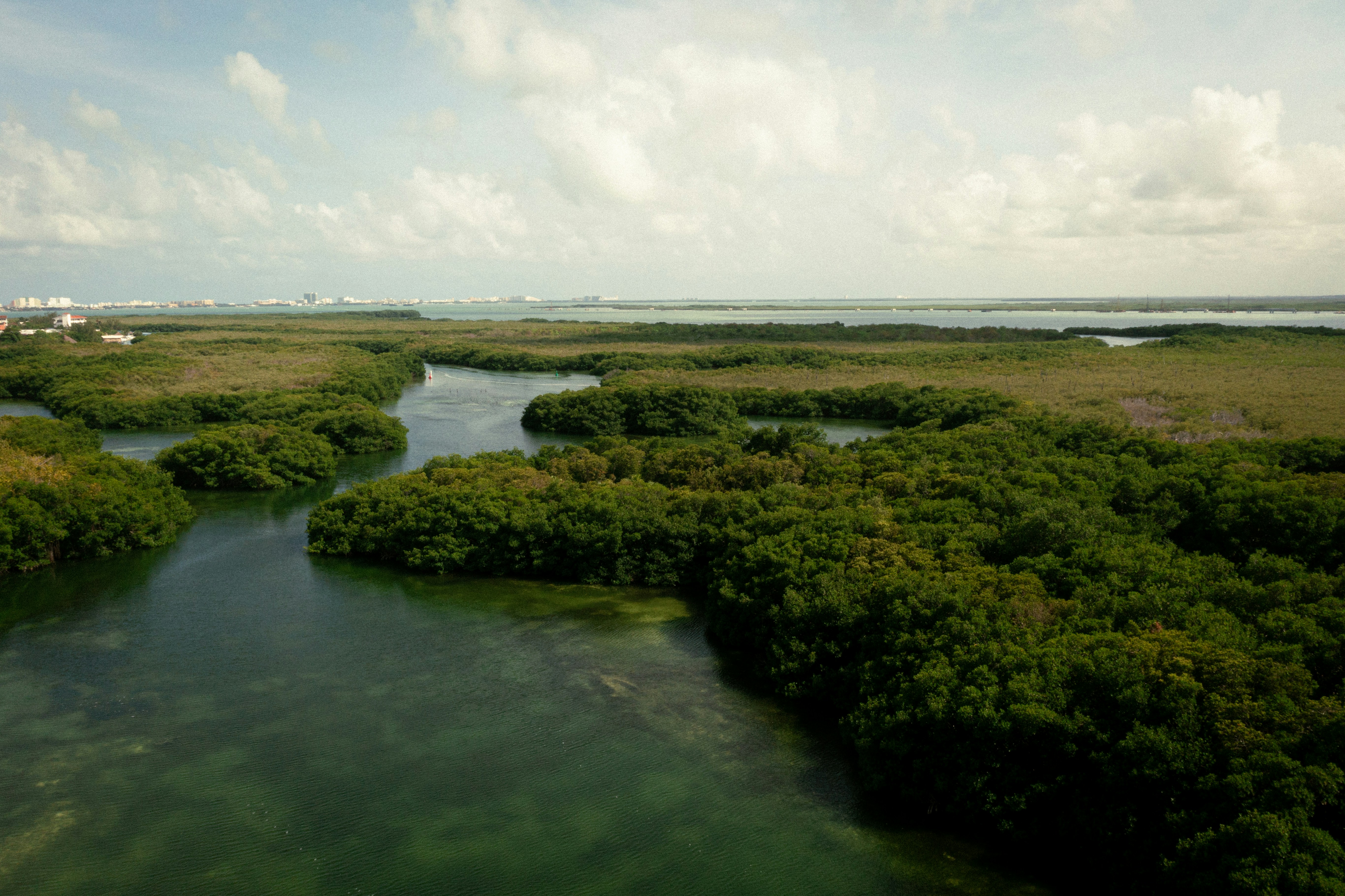 The Battle for the Everglades (image credits: unsplash)