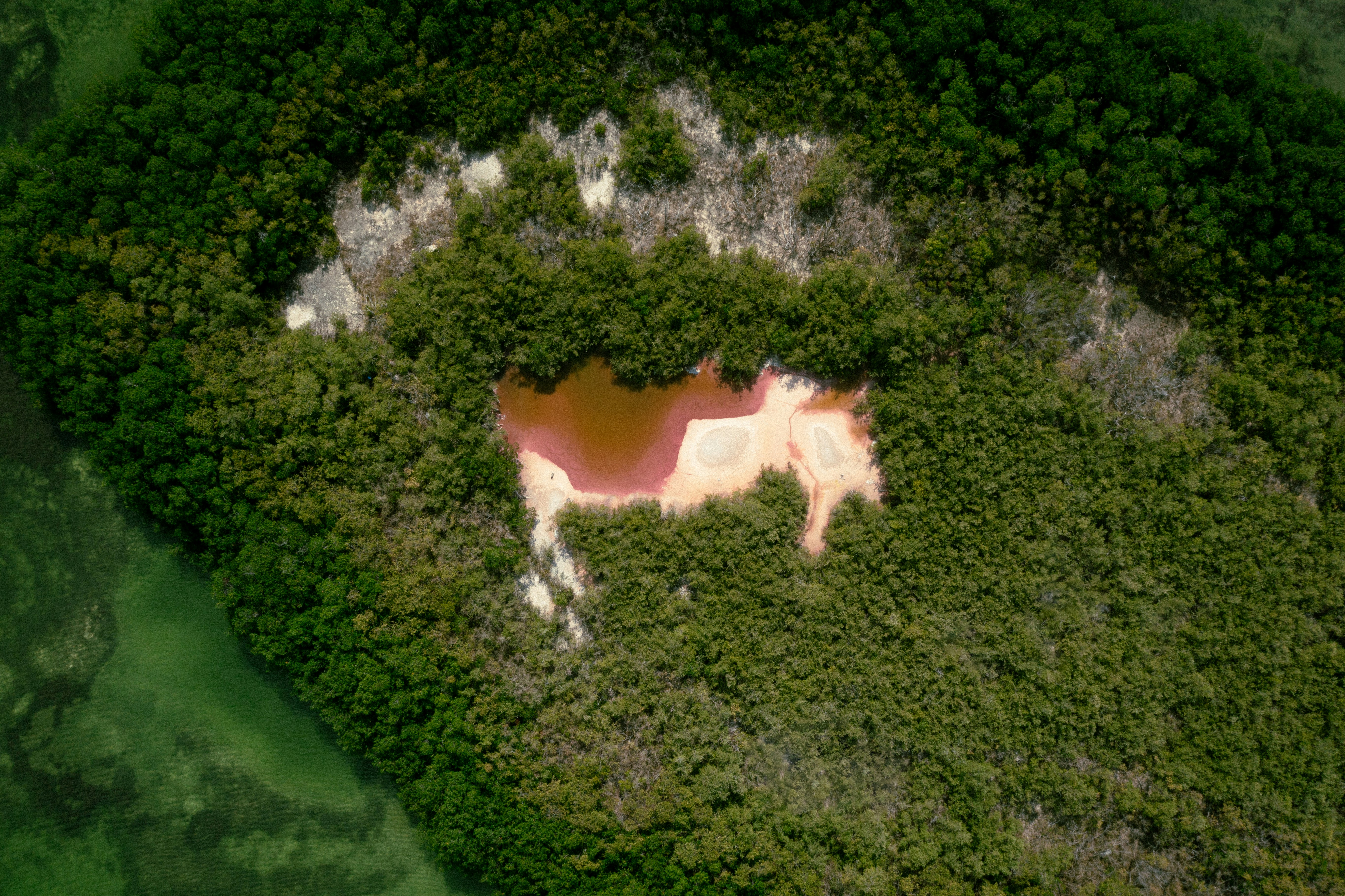 Eine Luftaufnahme eines von Bäumen umgebenen Sees