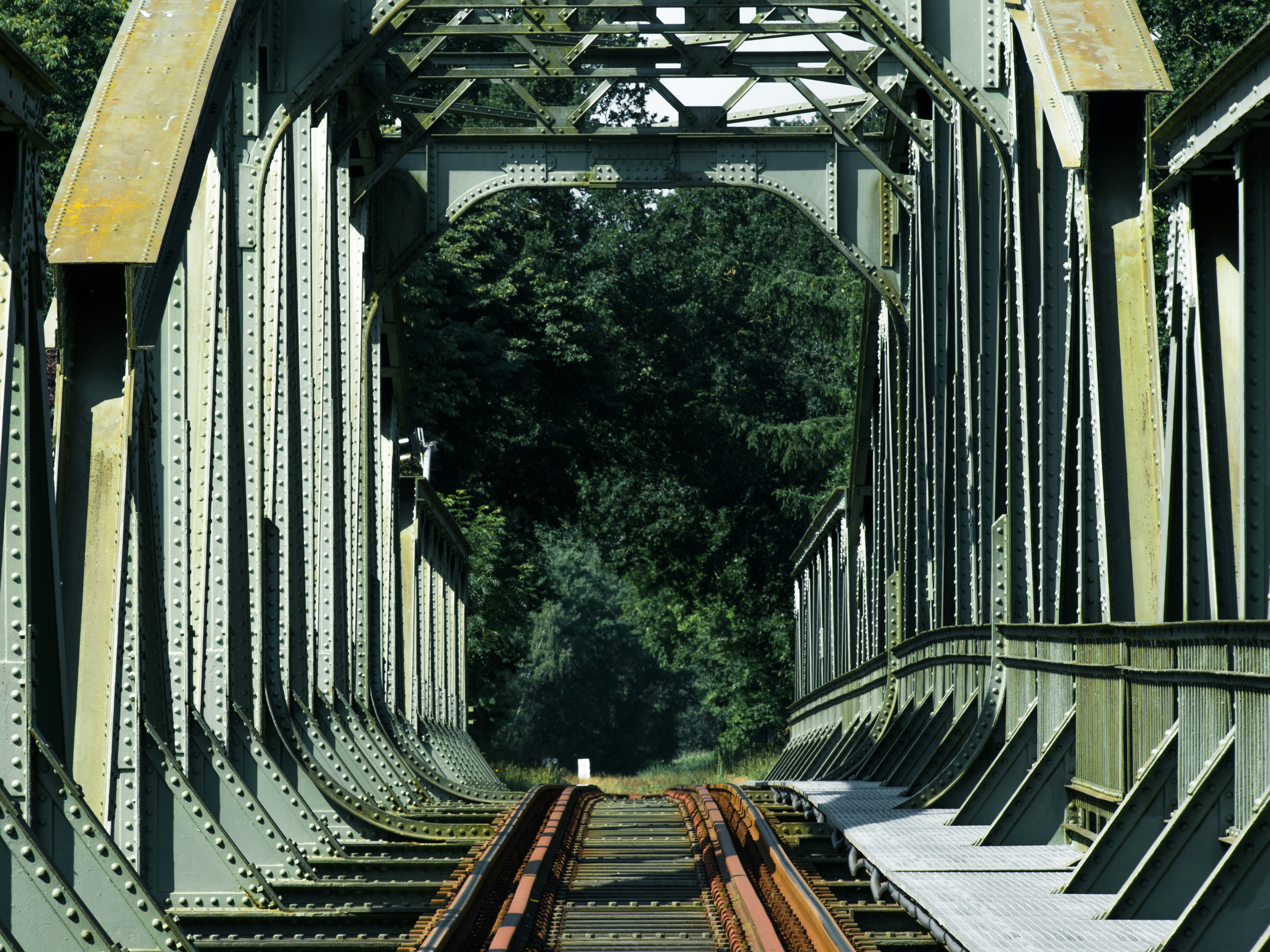 Photo by hamburgmeinefreundin