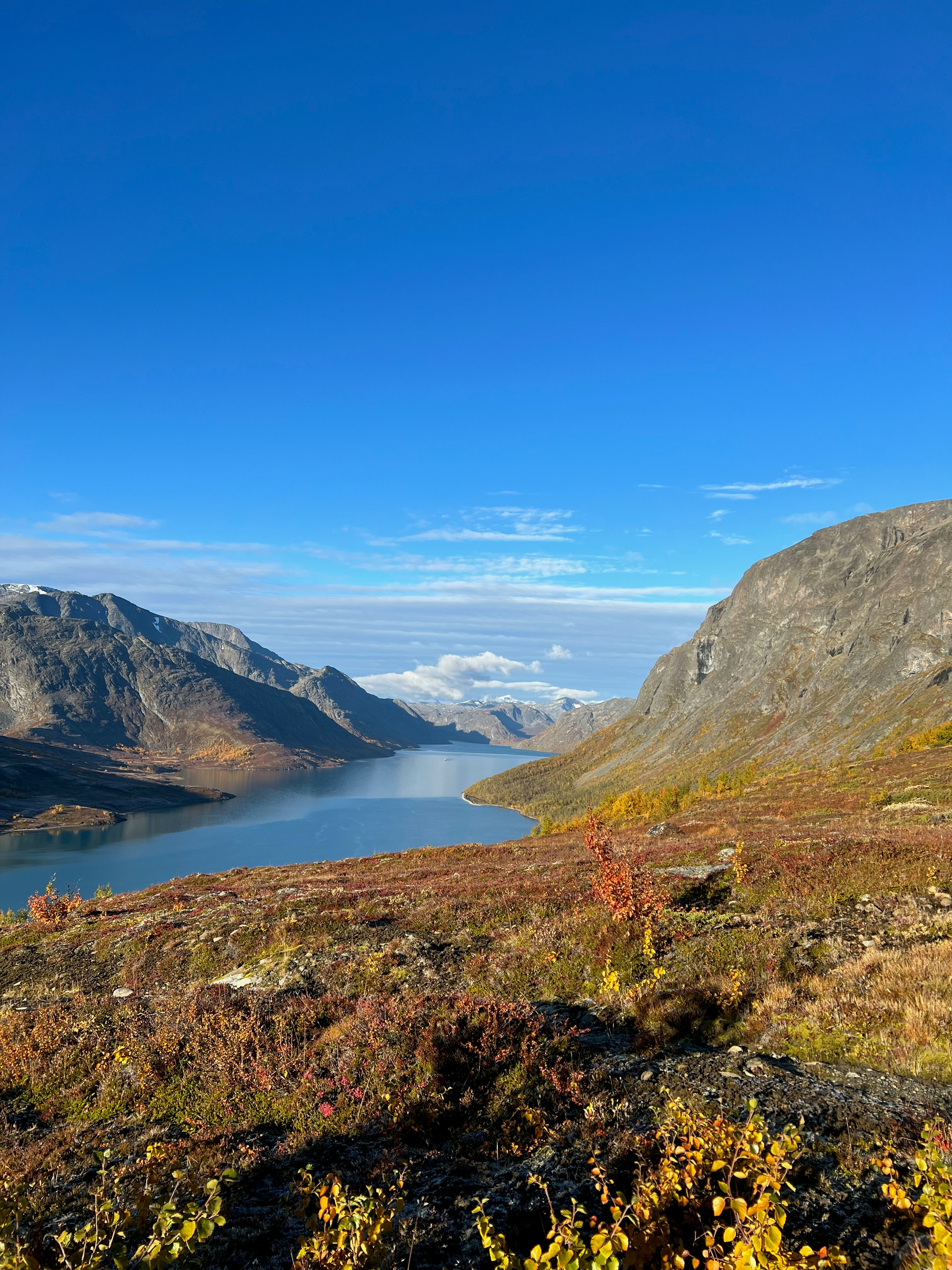 Photo by michuaintreal