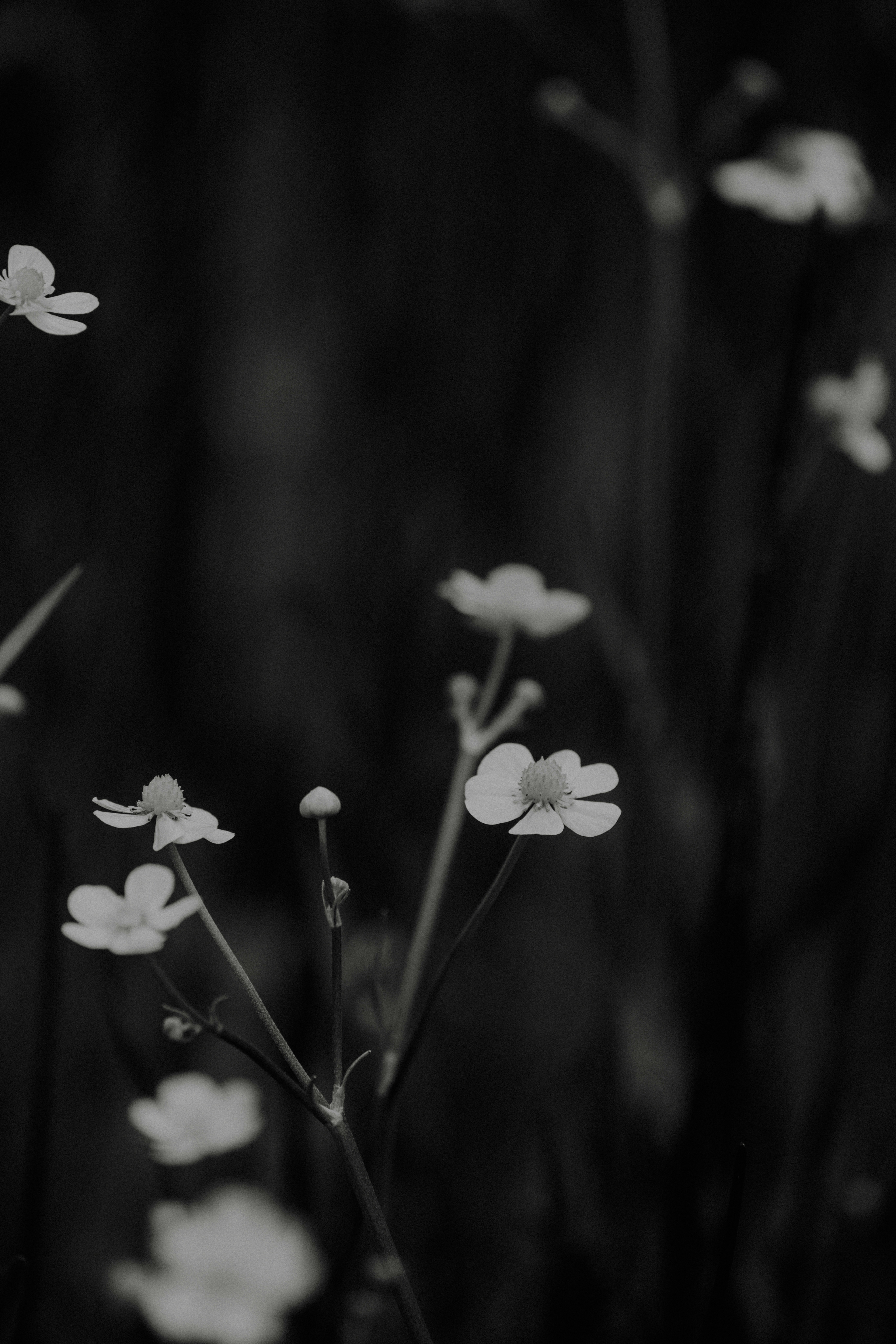 Photo by anniespratt