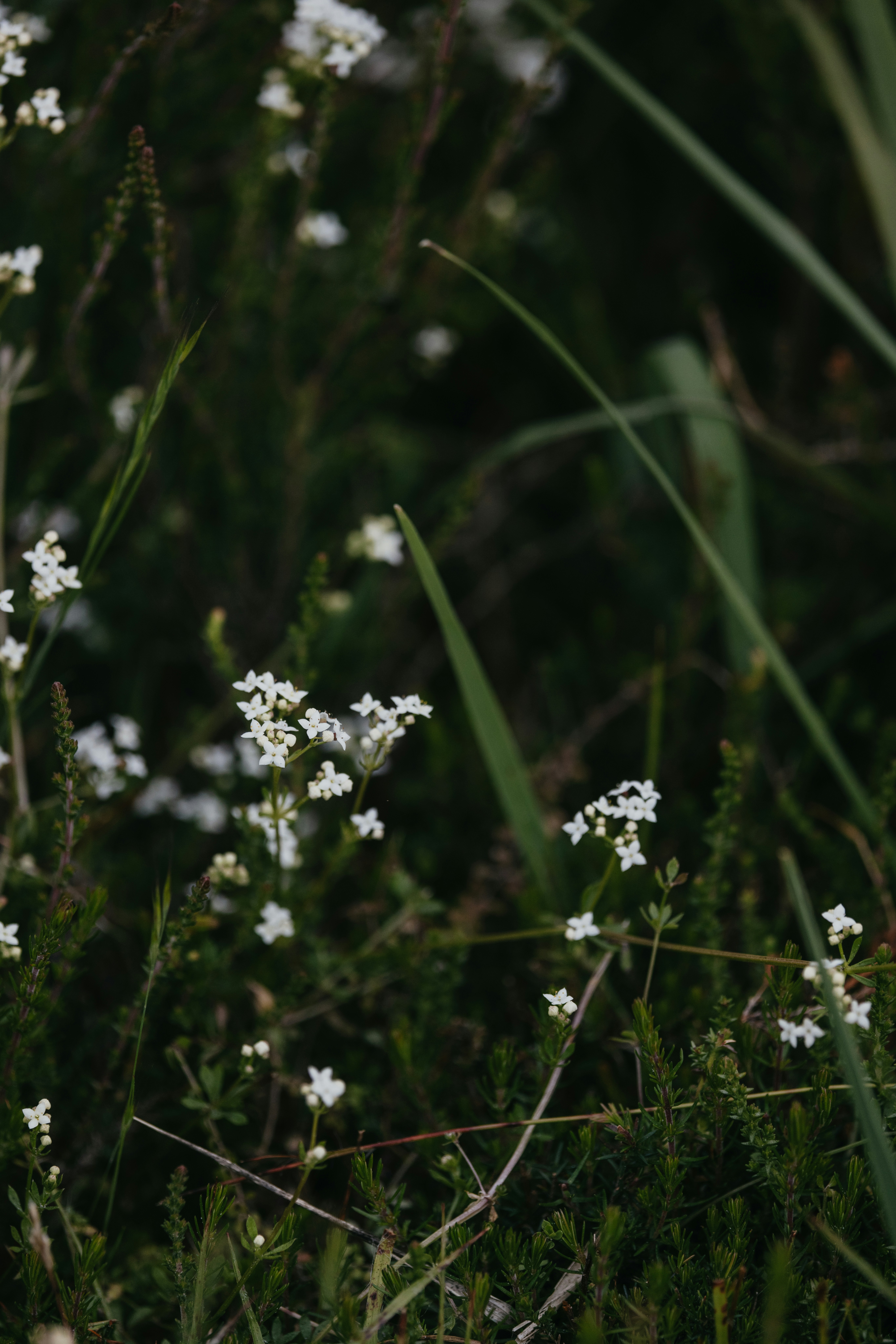 Photo by anniespratt