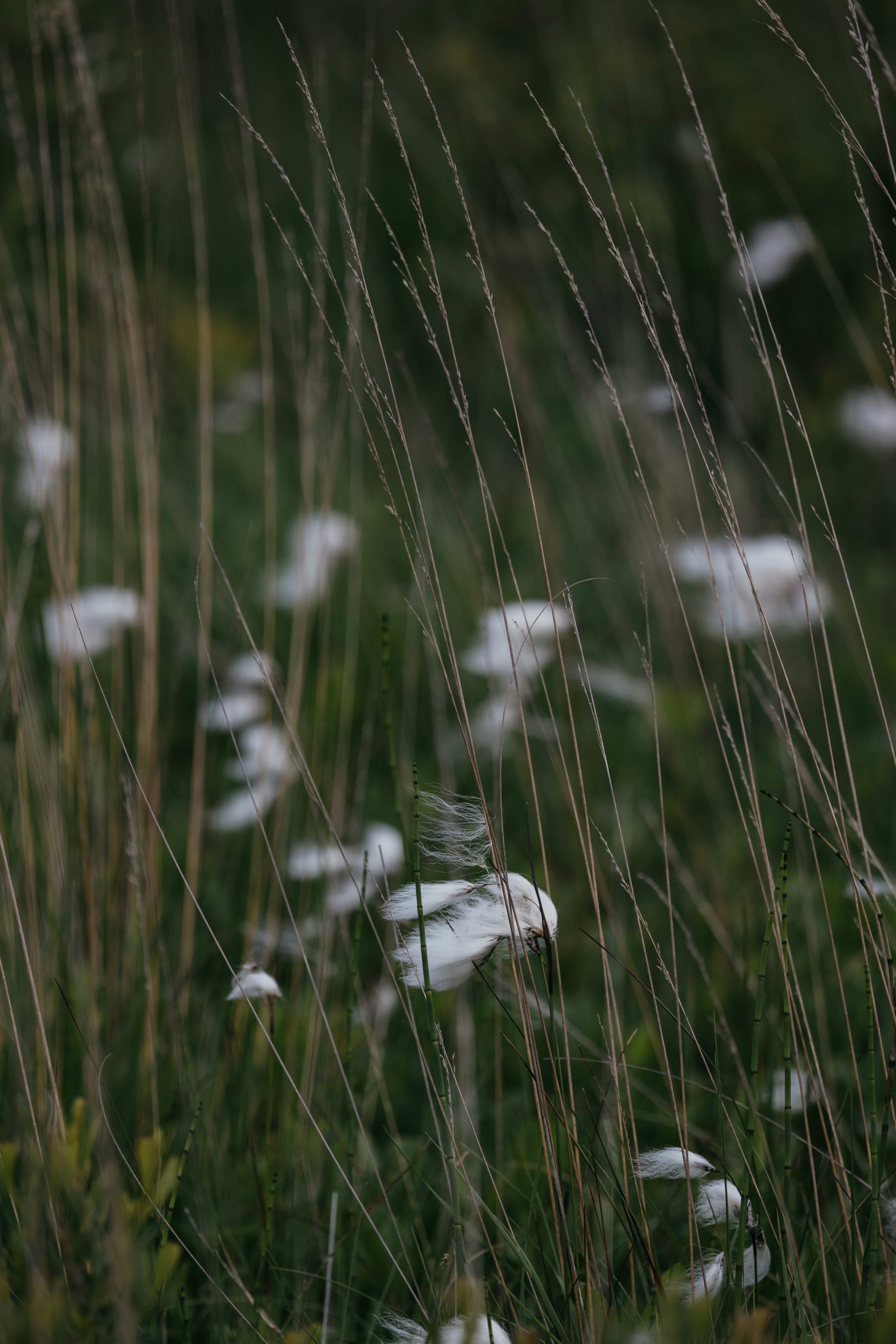 Photo by anniespratt