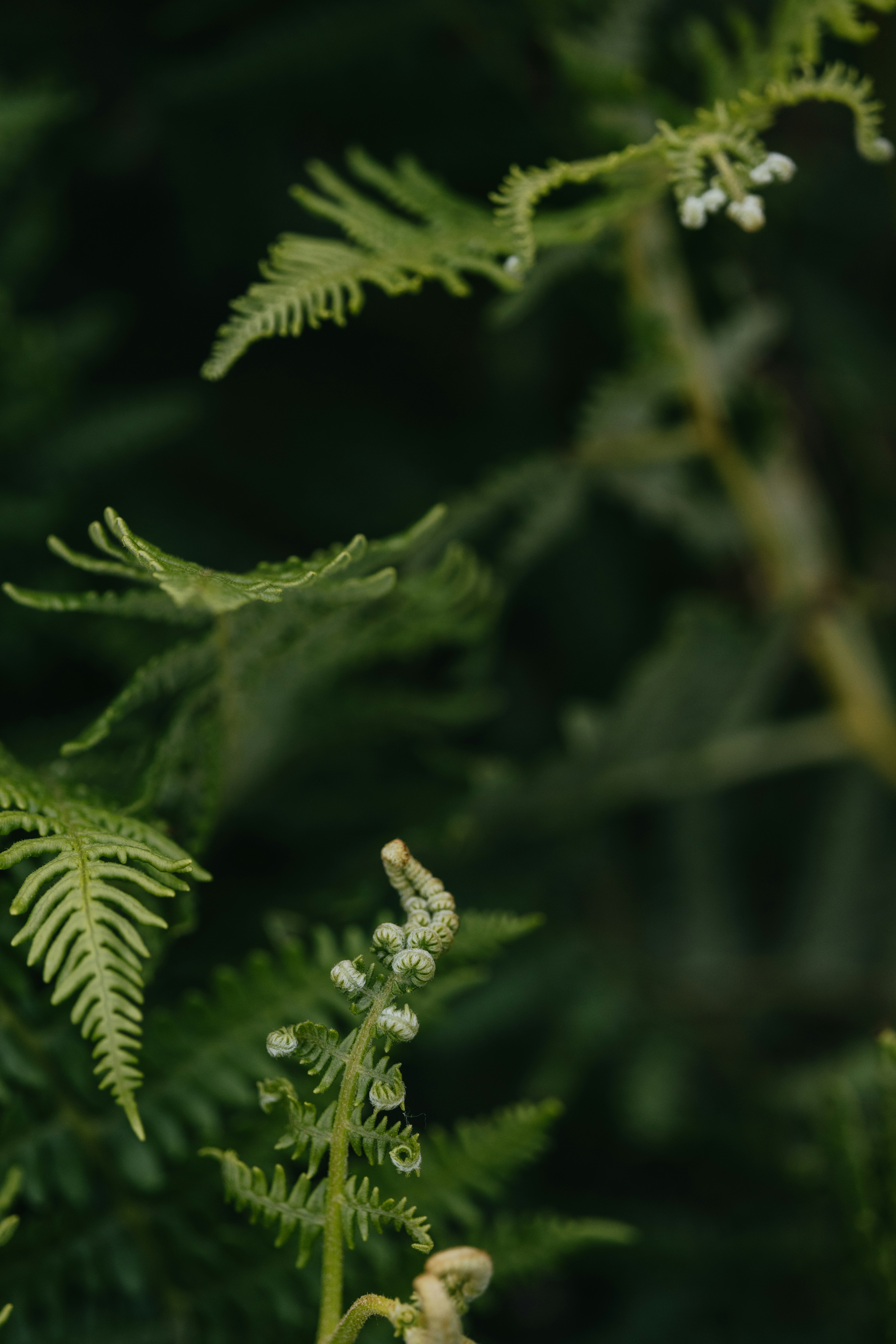 Photo by anniespratt