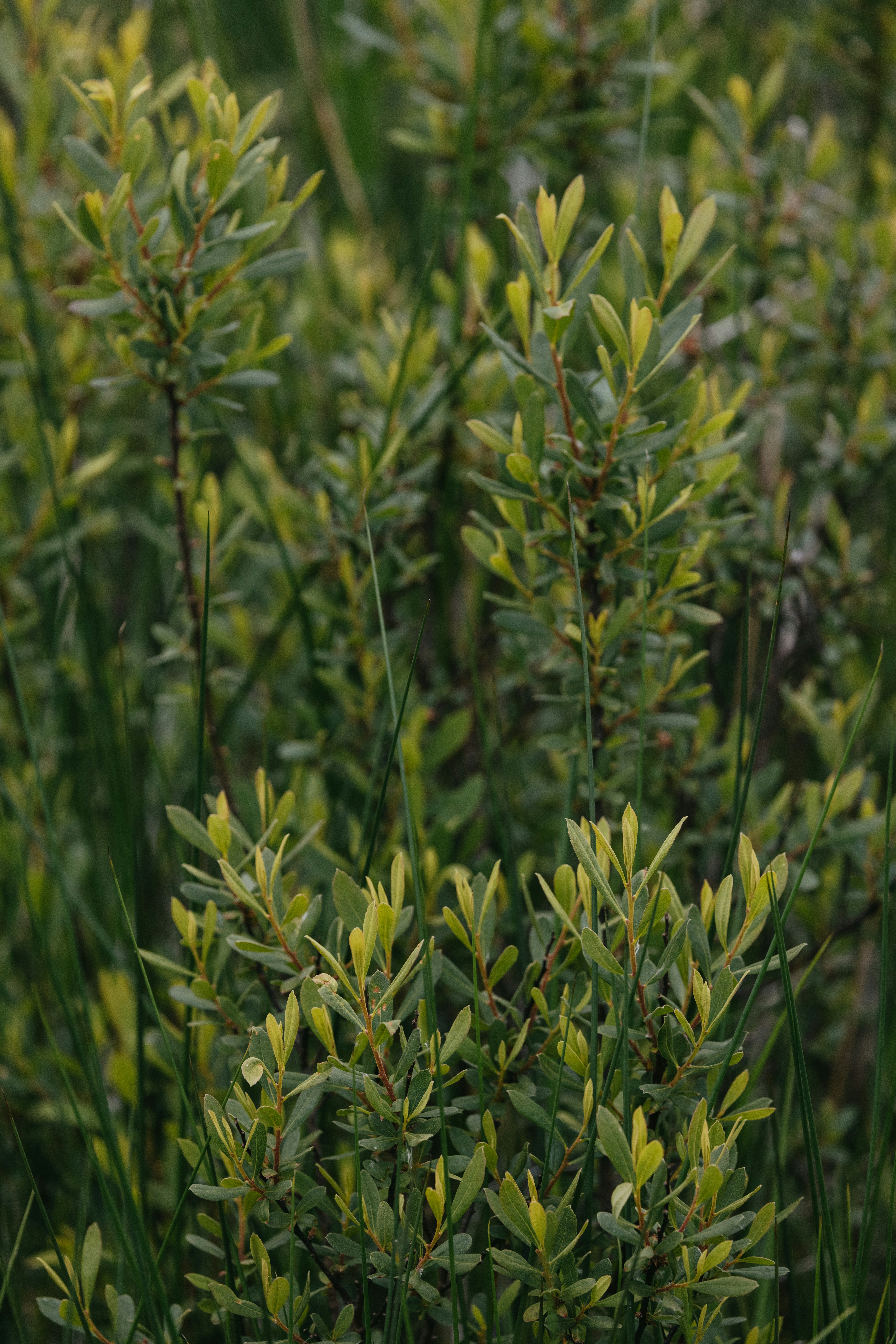 Photo by anniespratt