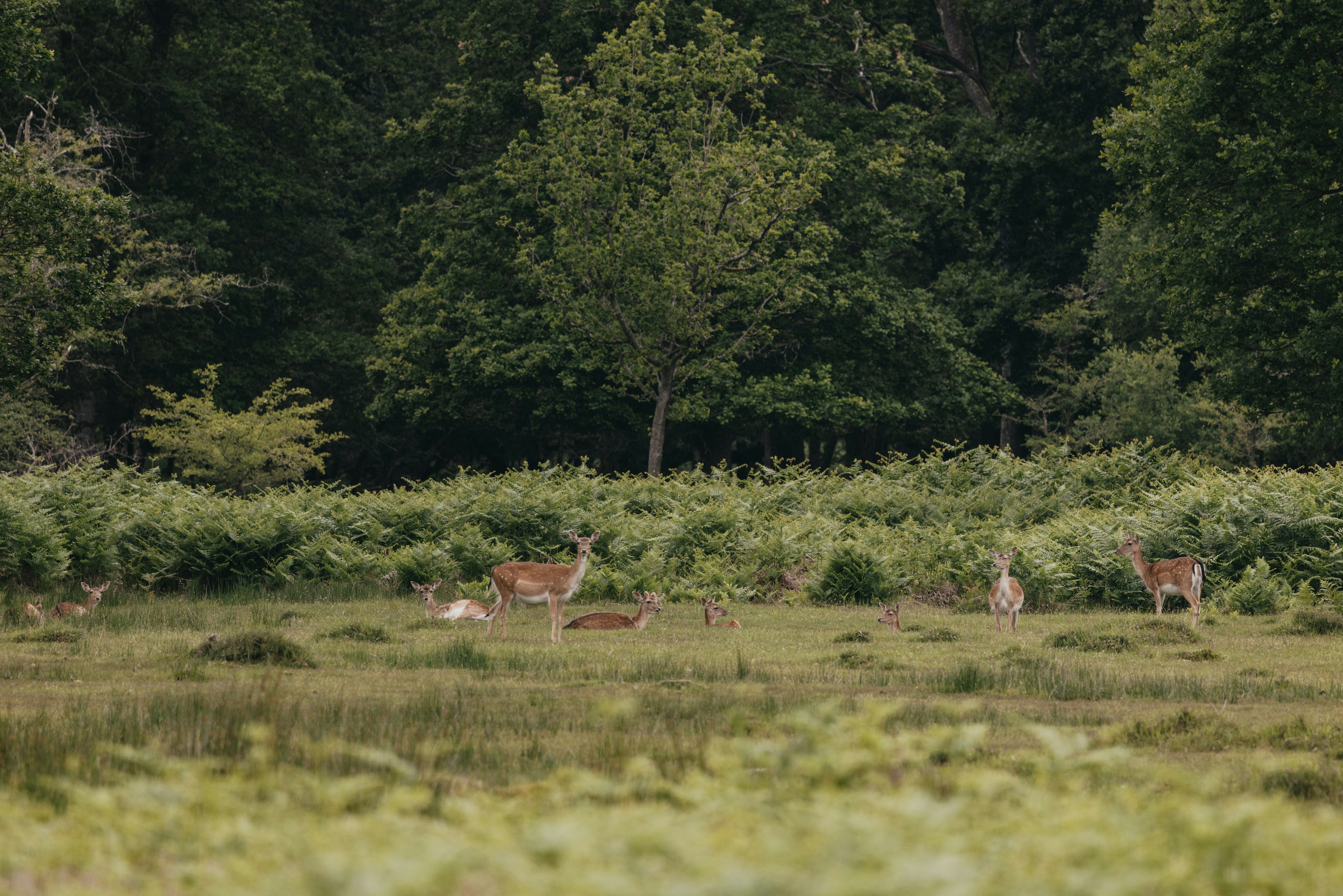 Photo by anniespratt