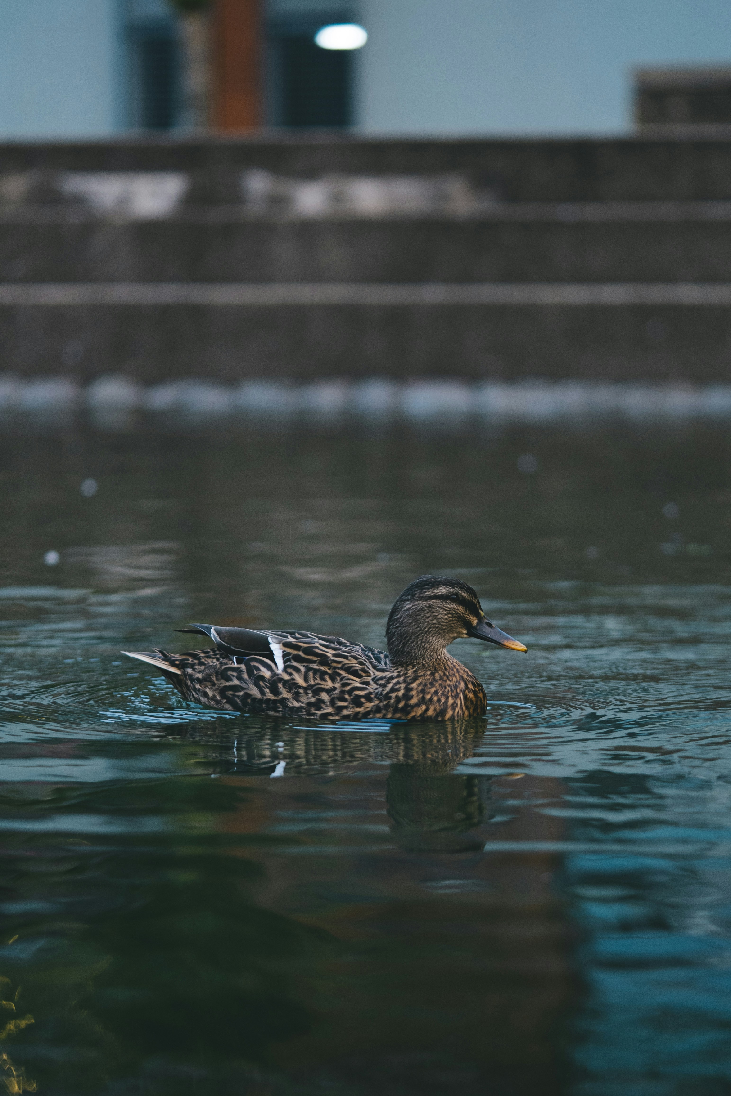 Photo by countingframez