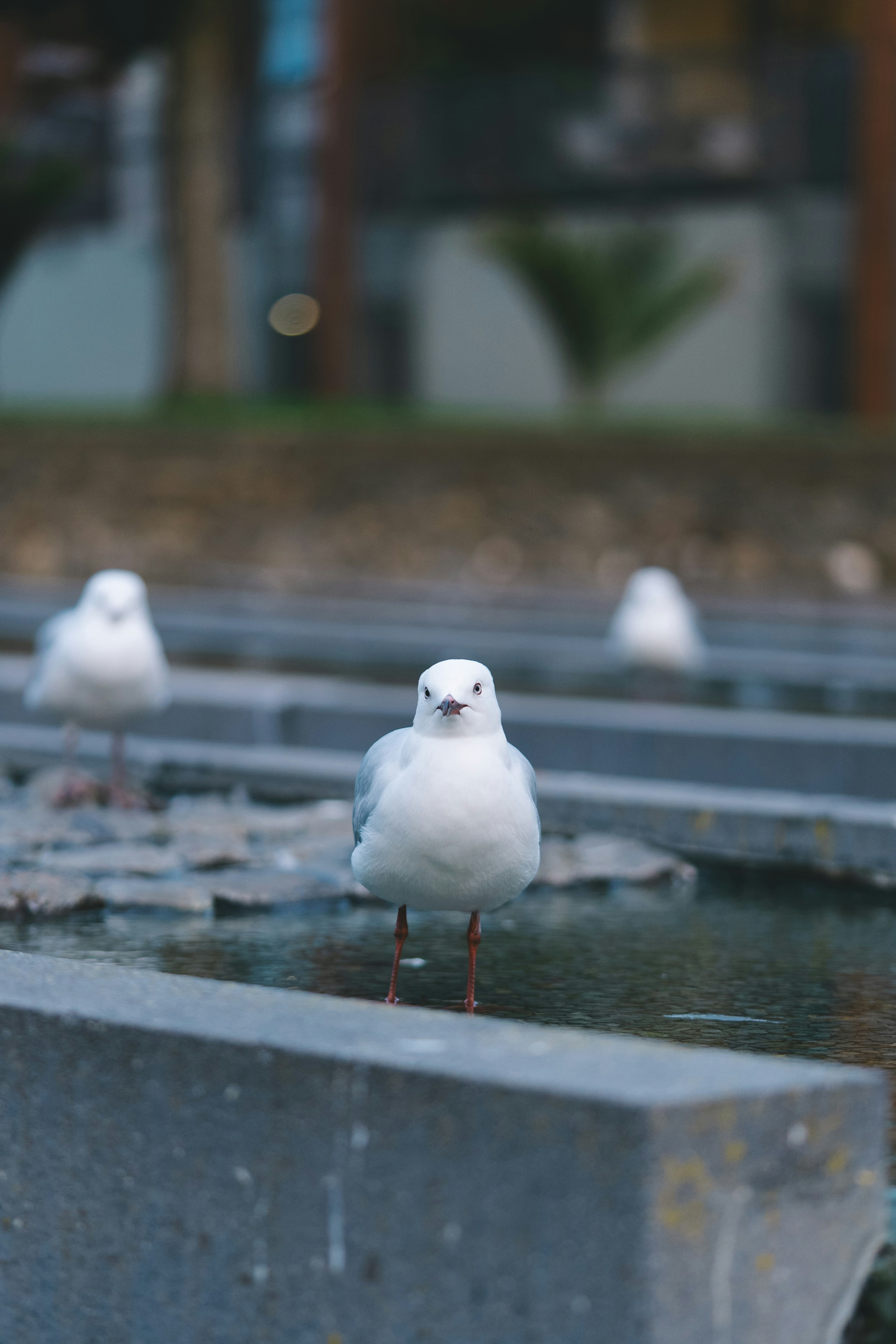 Photo by countingframez