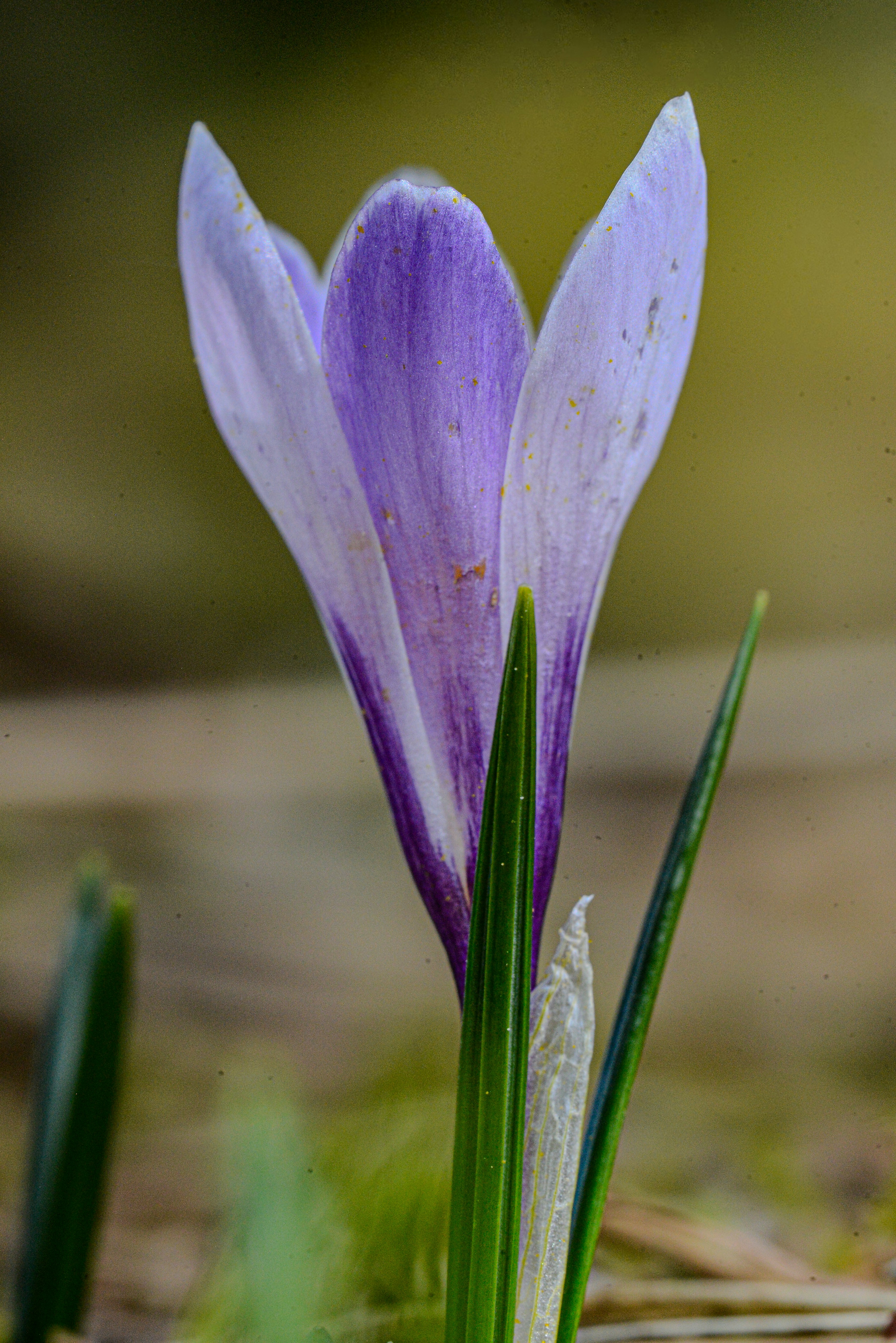 Photo by mxnuel_2309