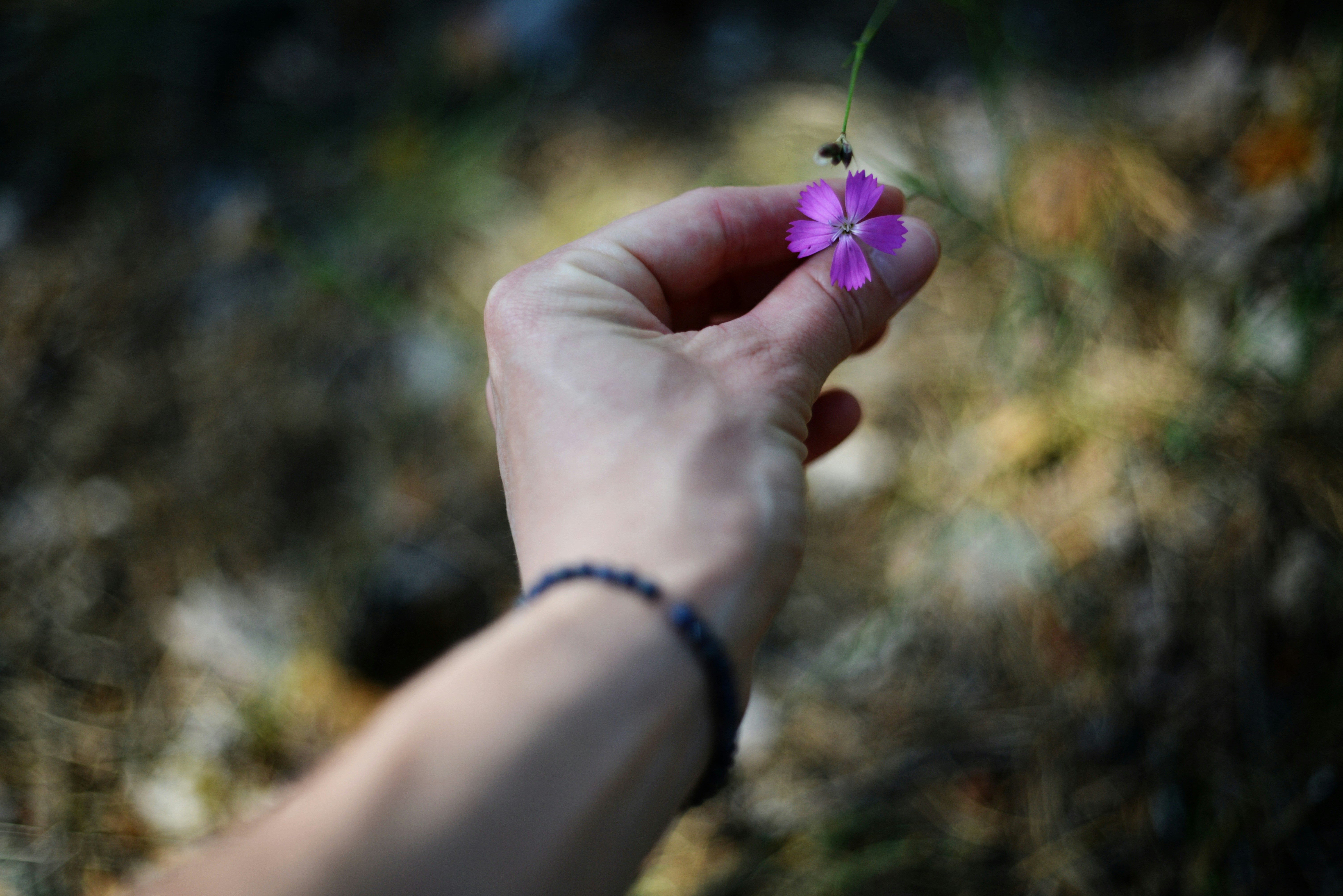 Photo by cherstve_pechivo