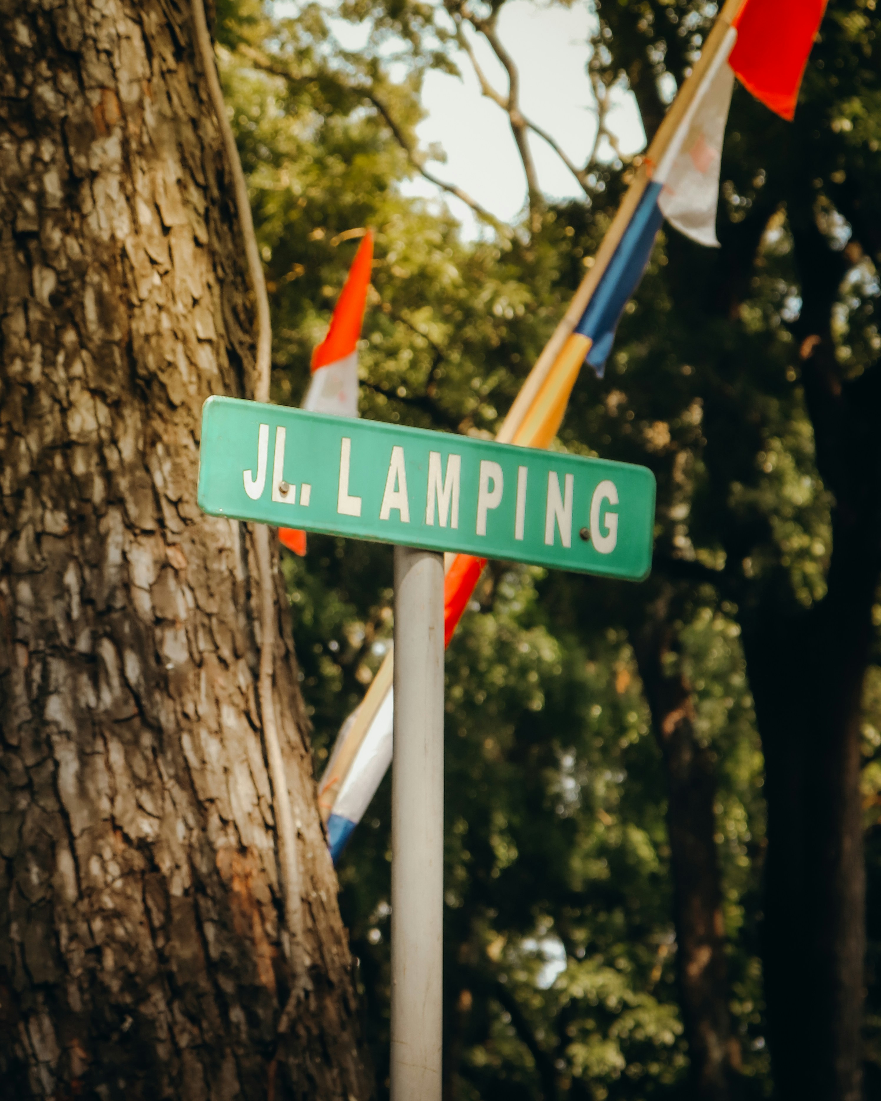 a green street sign sitting next to a tree