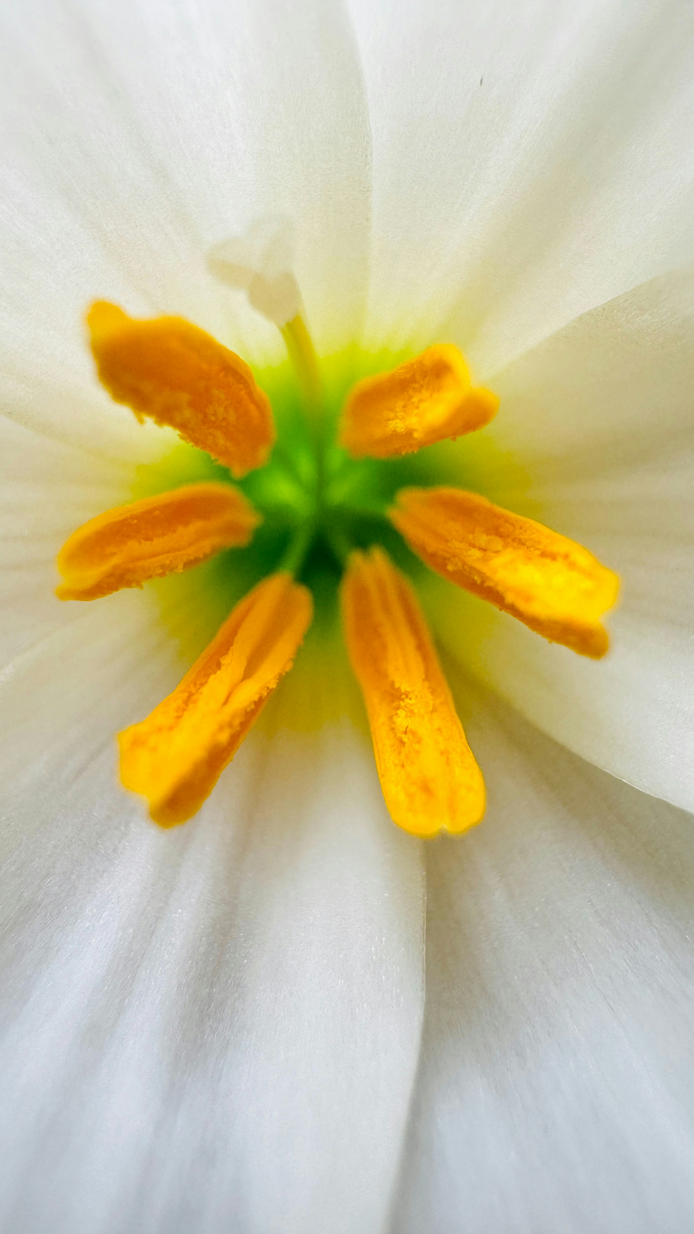 Photo by rahul_saraf