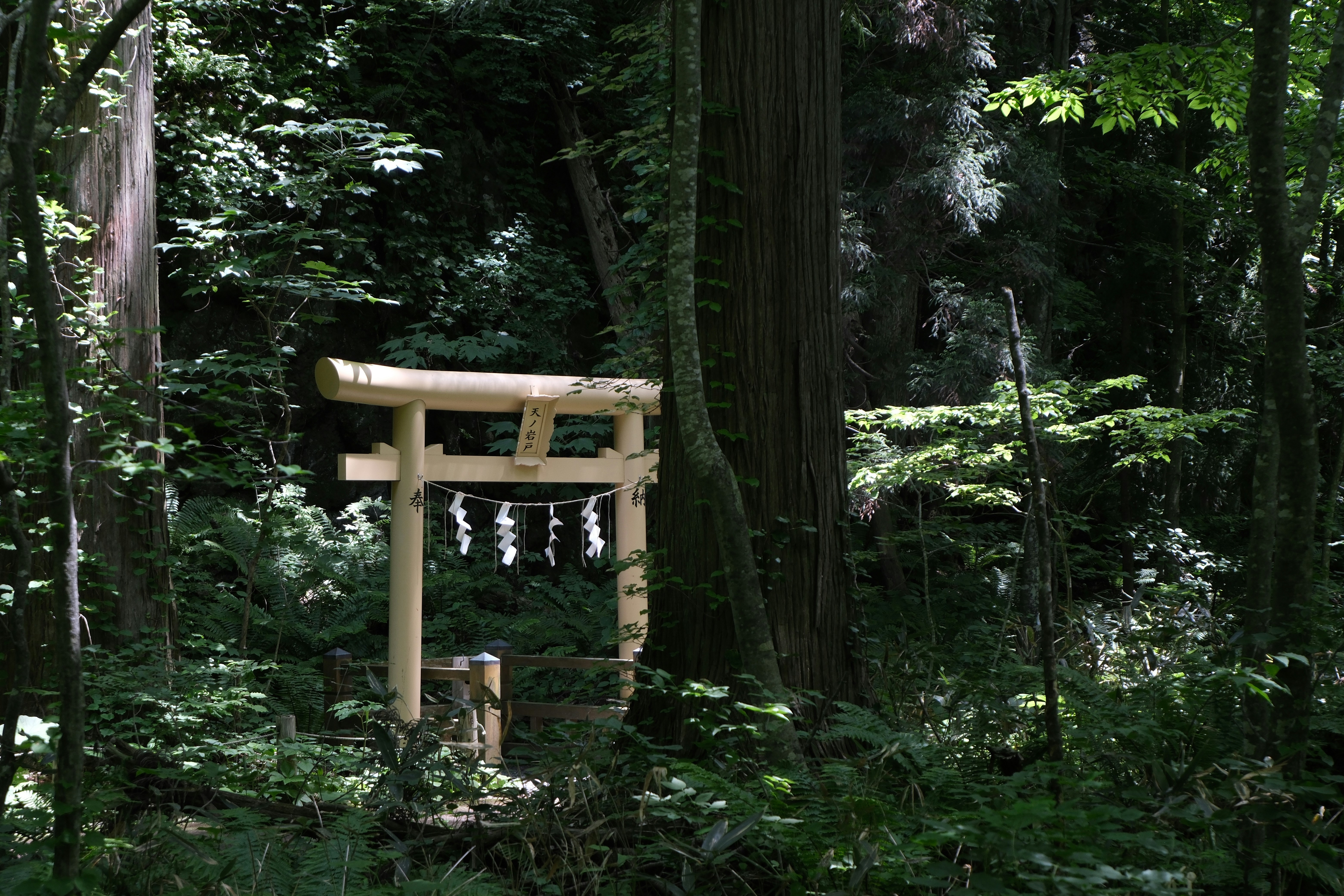 Photo by seiya_maeda