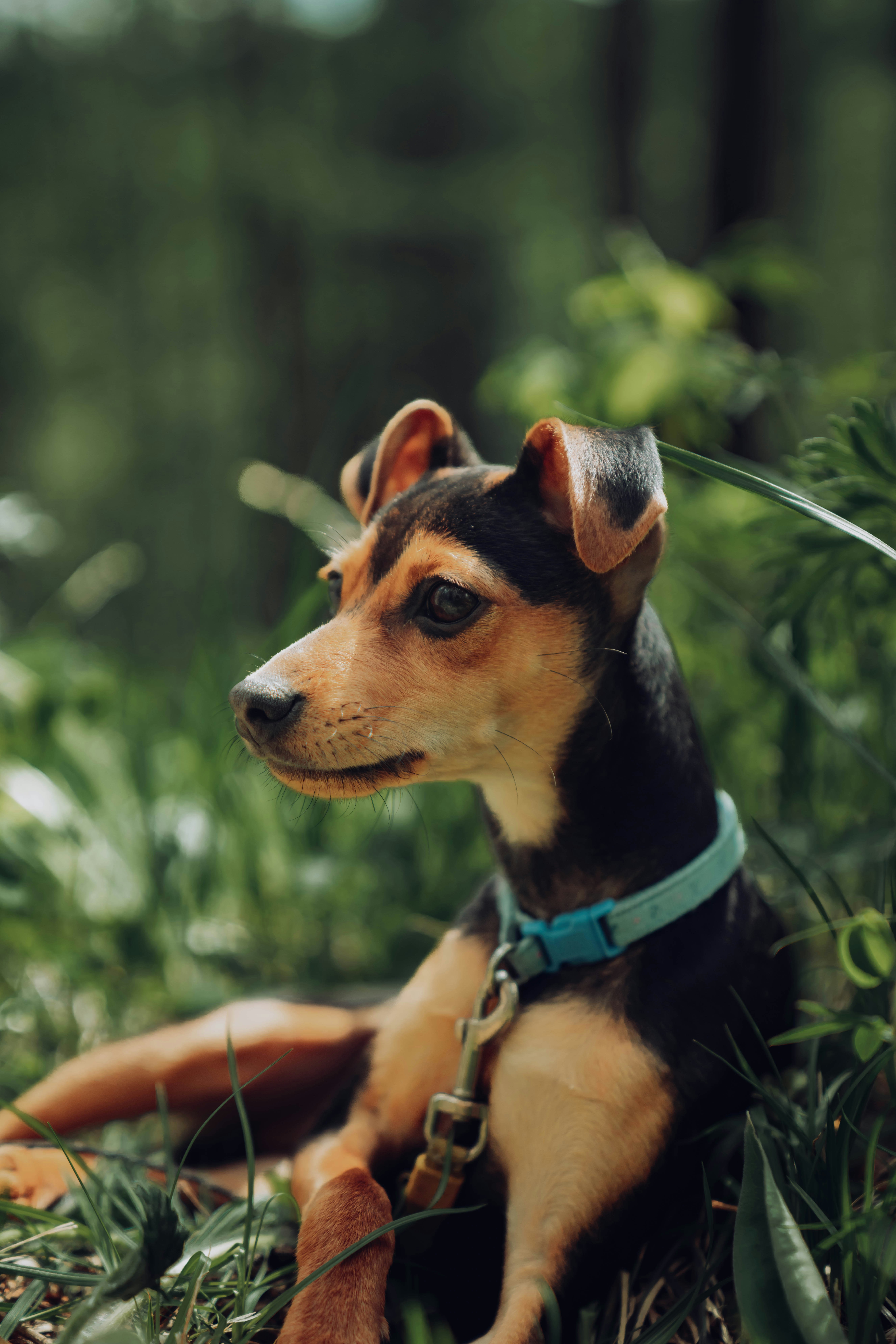 Photo by metujiiiiiiin