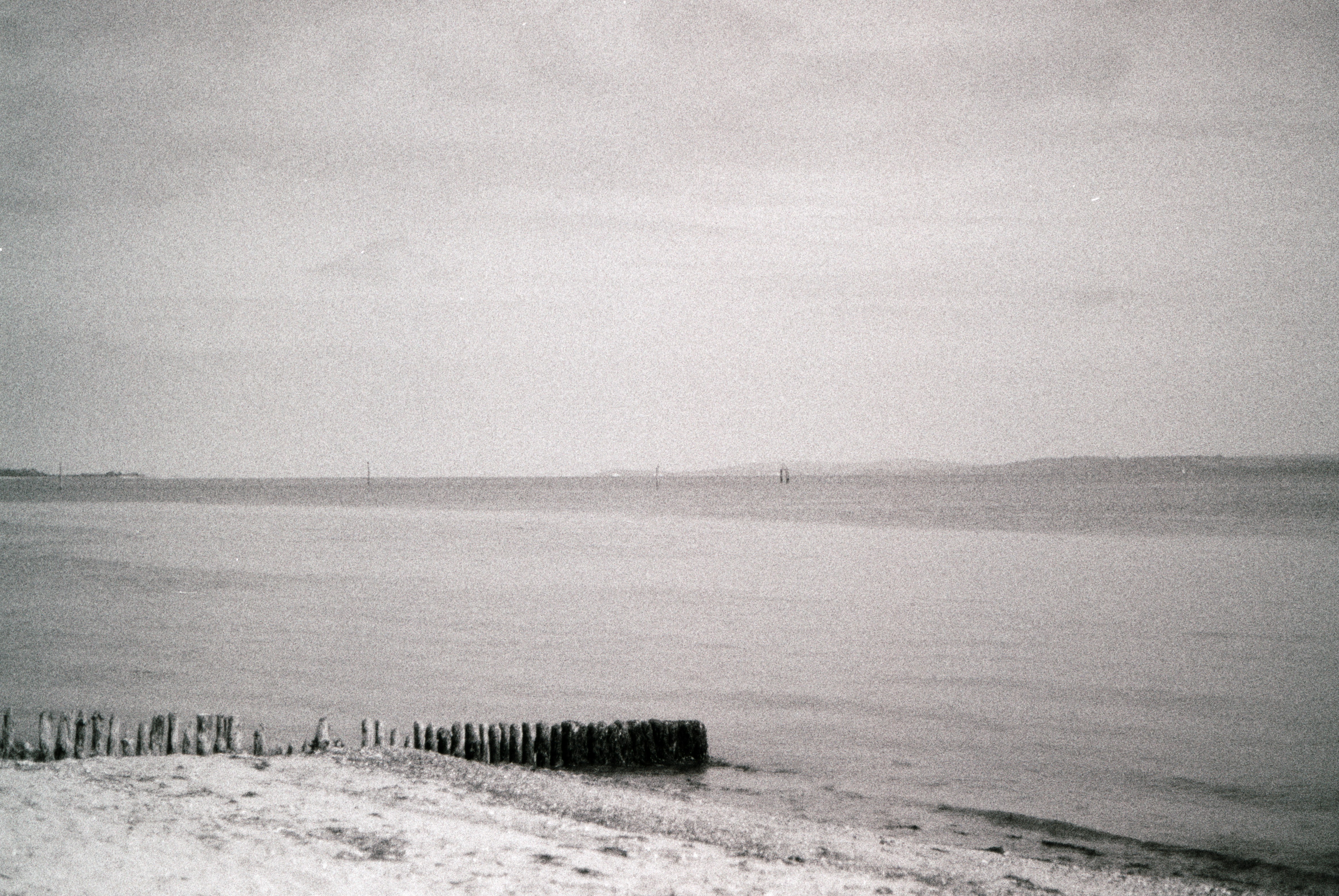 Photo by anniespratt