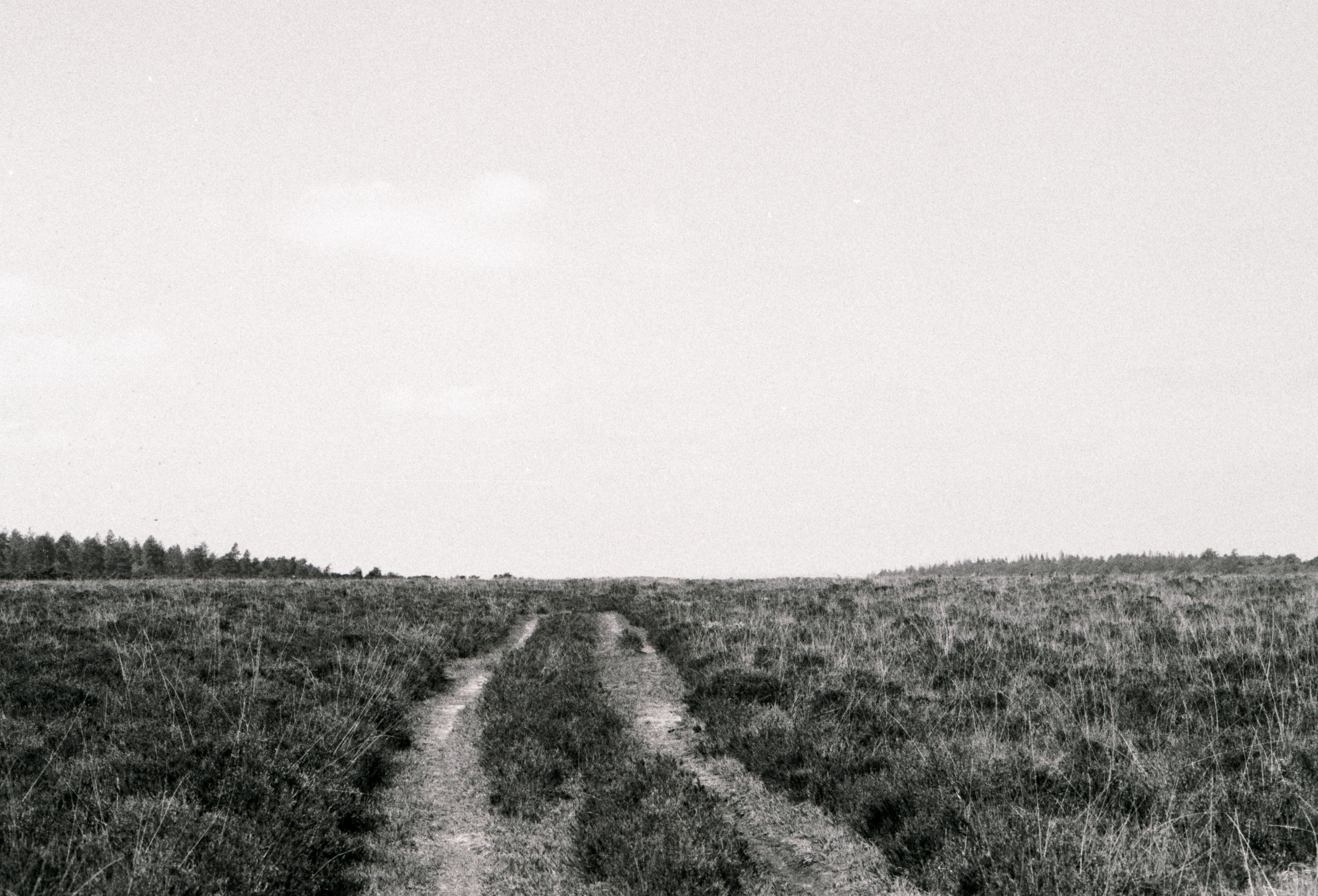 Photo by anniespratt