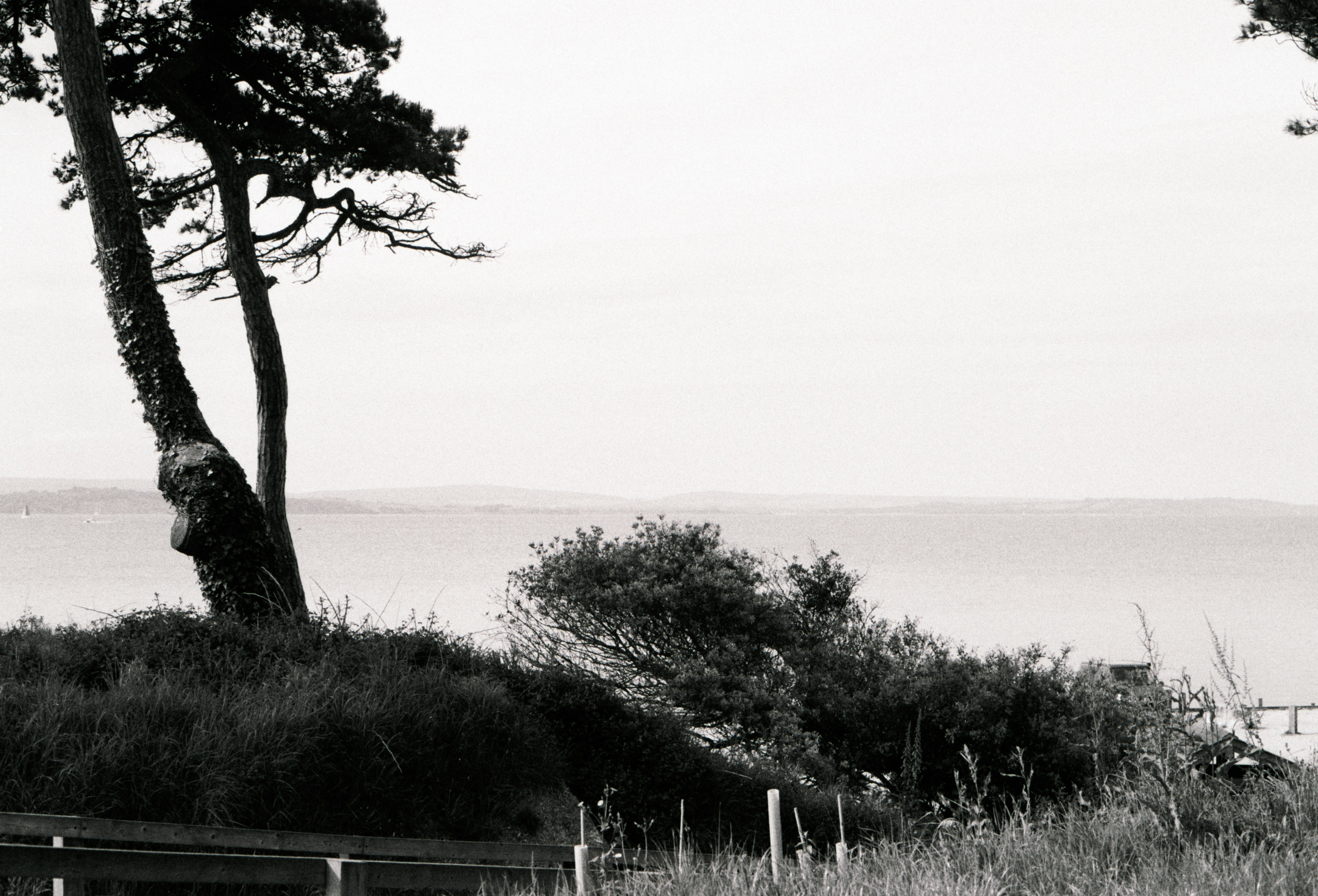 Photo by anniespratt