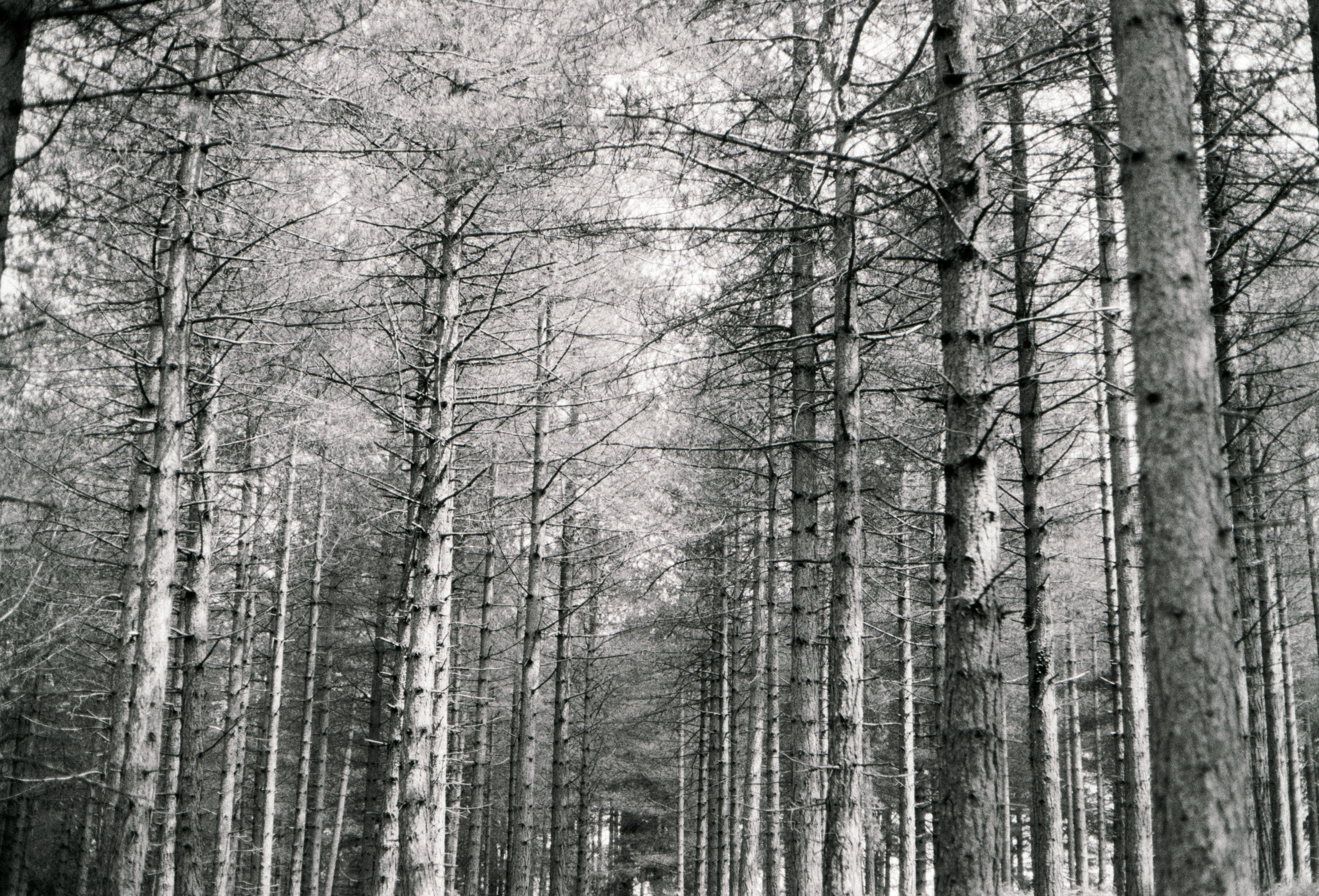 Photo by anniespratt