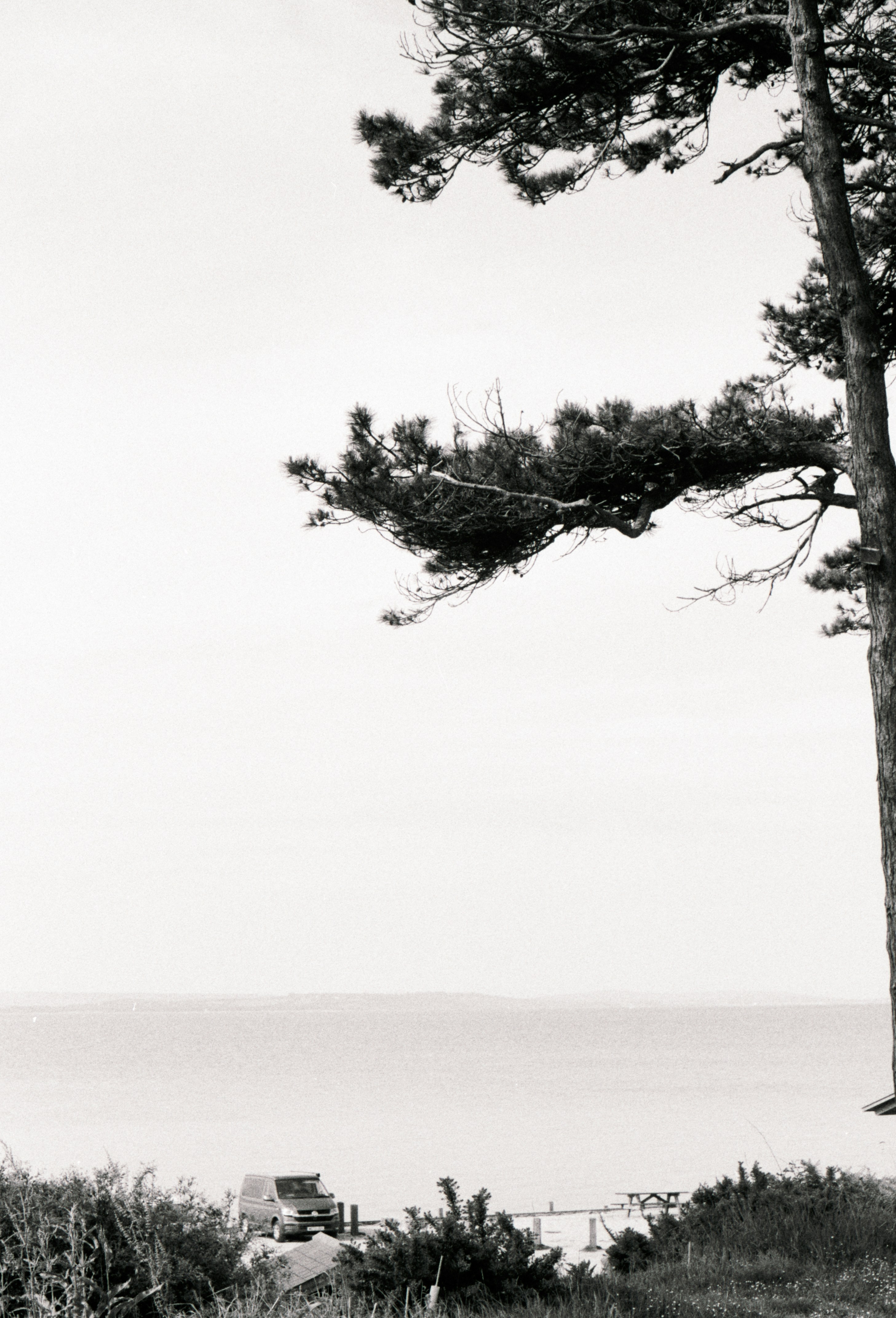 Photo by anniespratt