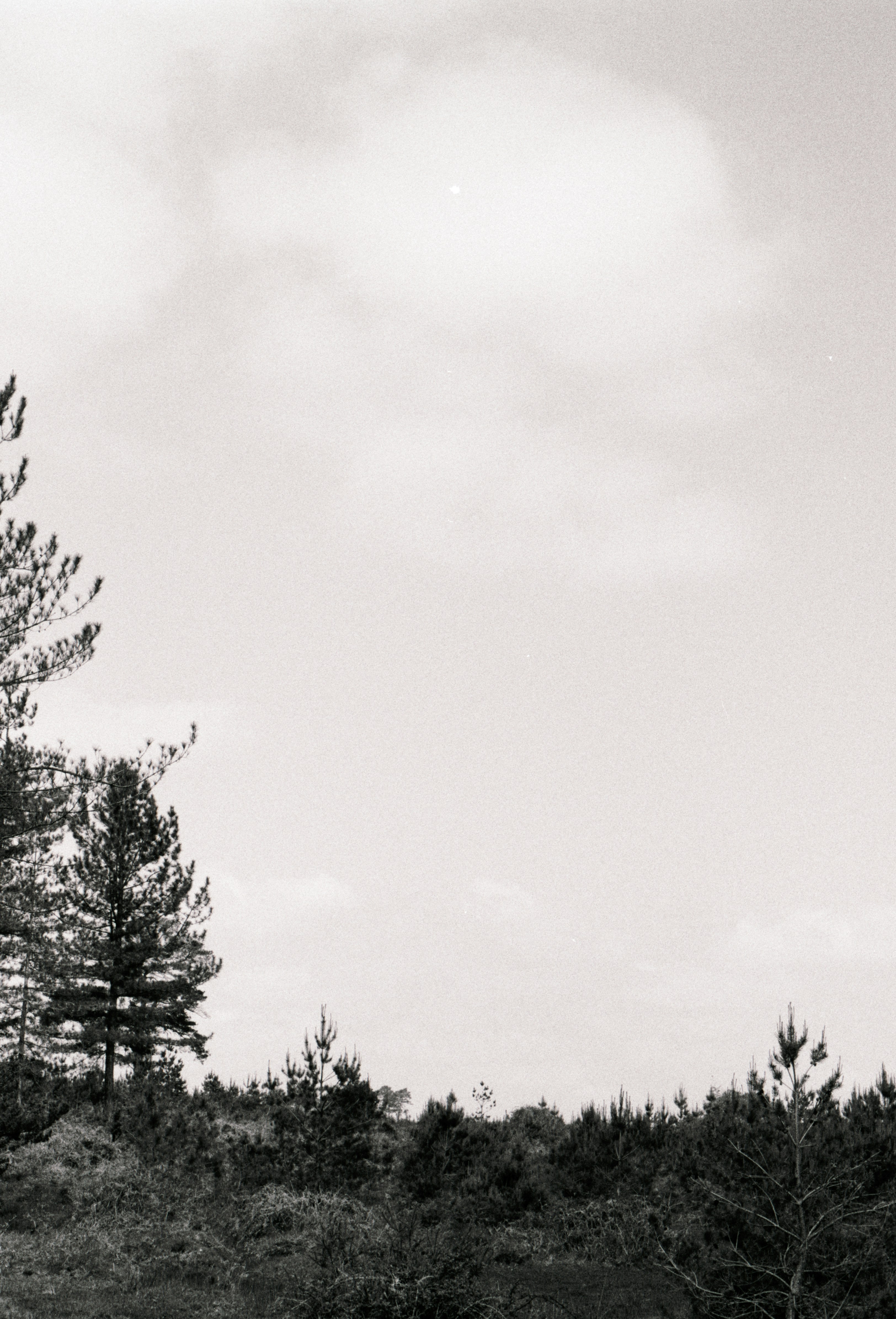 Photo by anniespratt