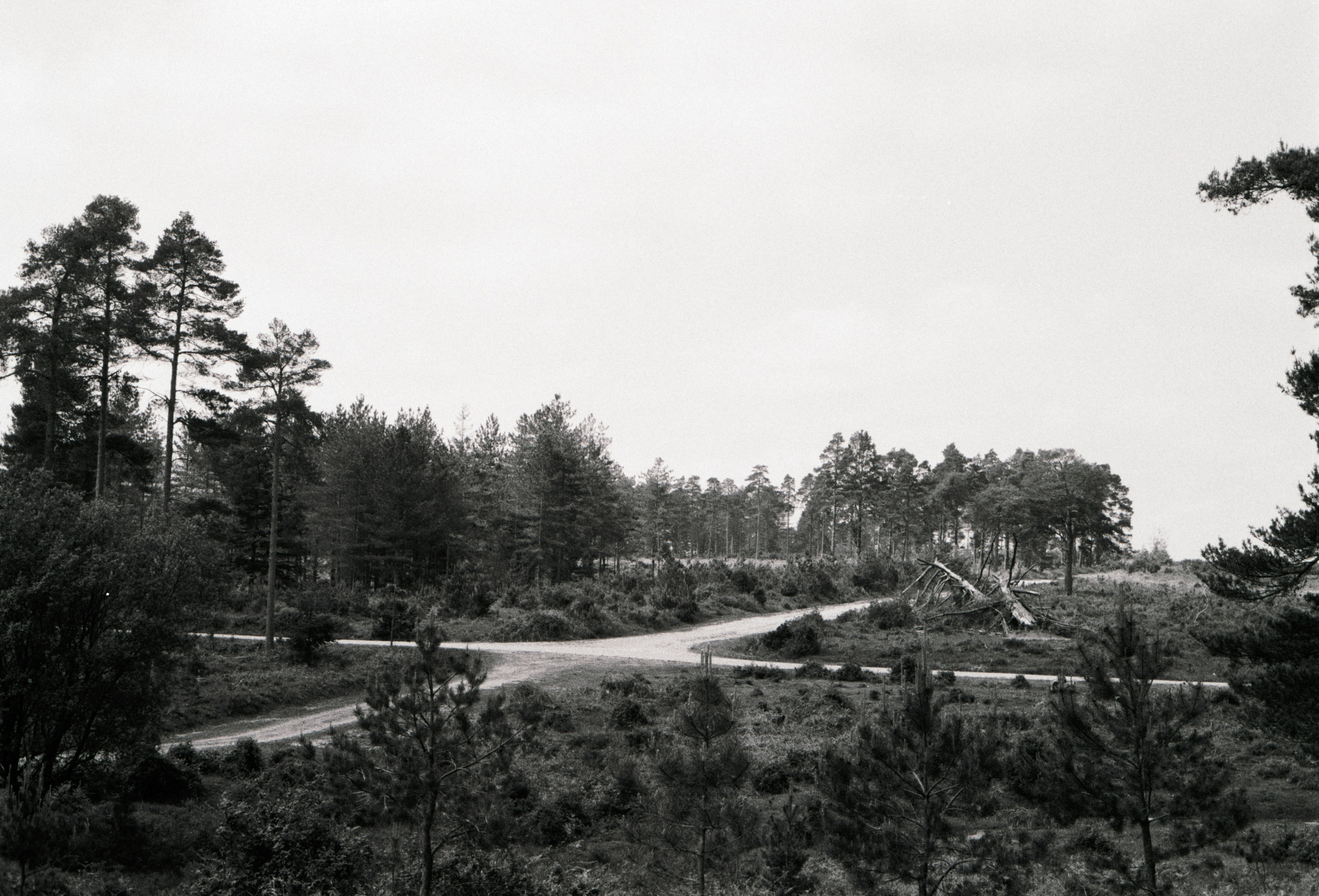 DeArmond Park