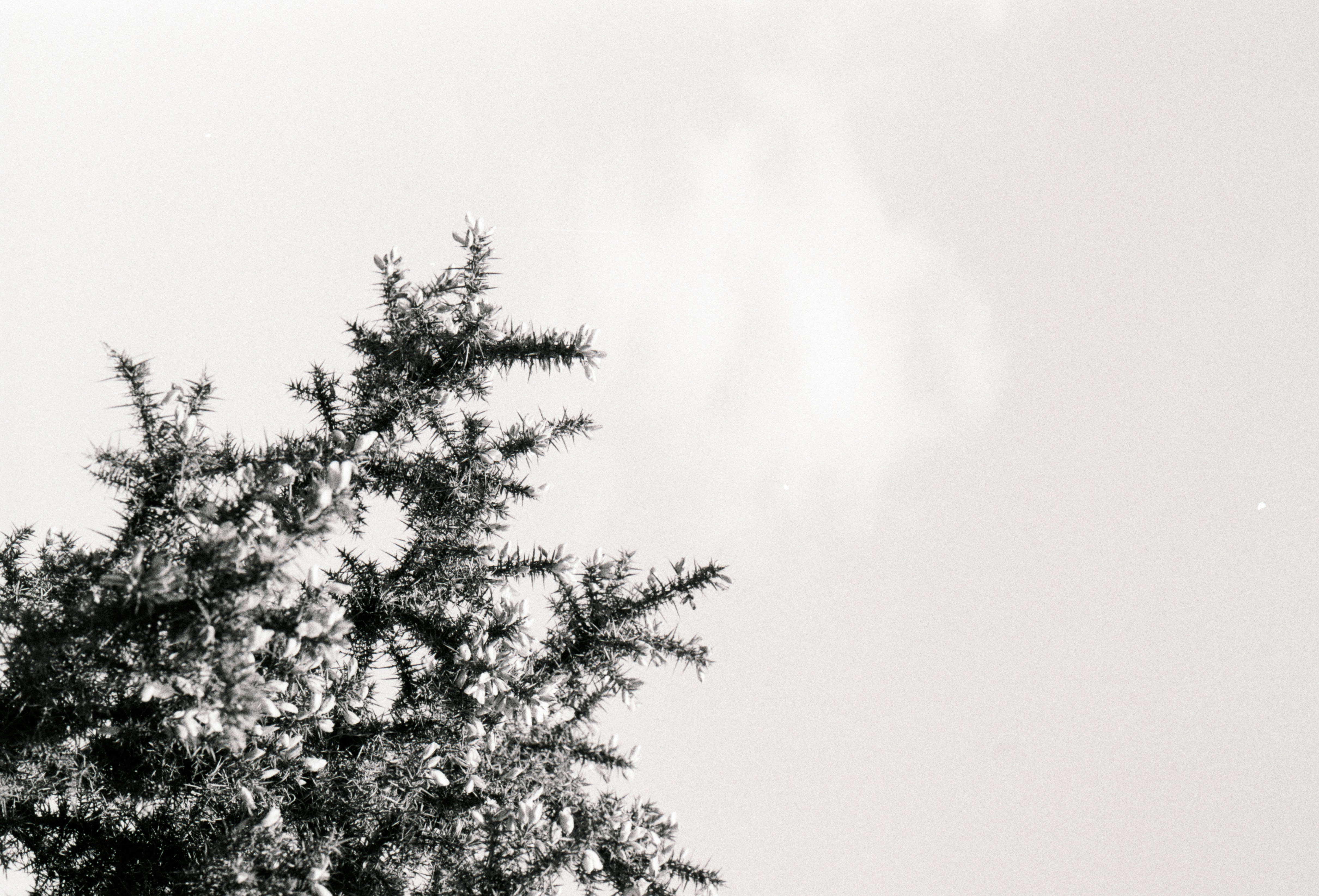 Photo by anniespratt