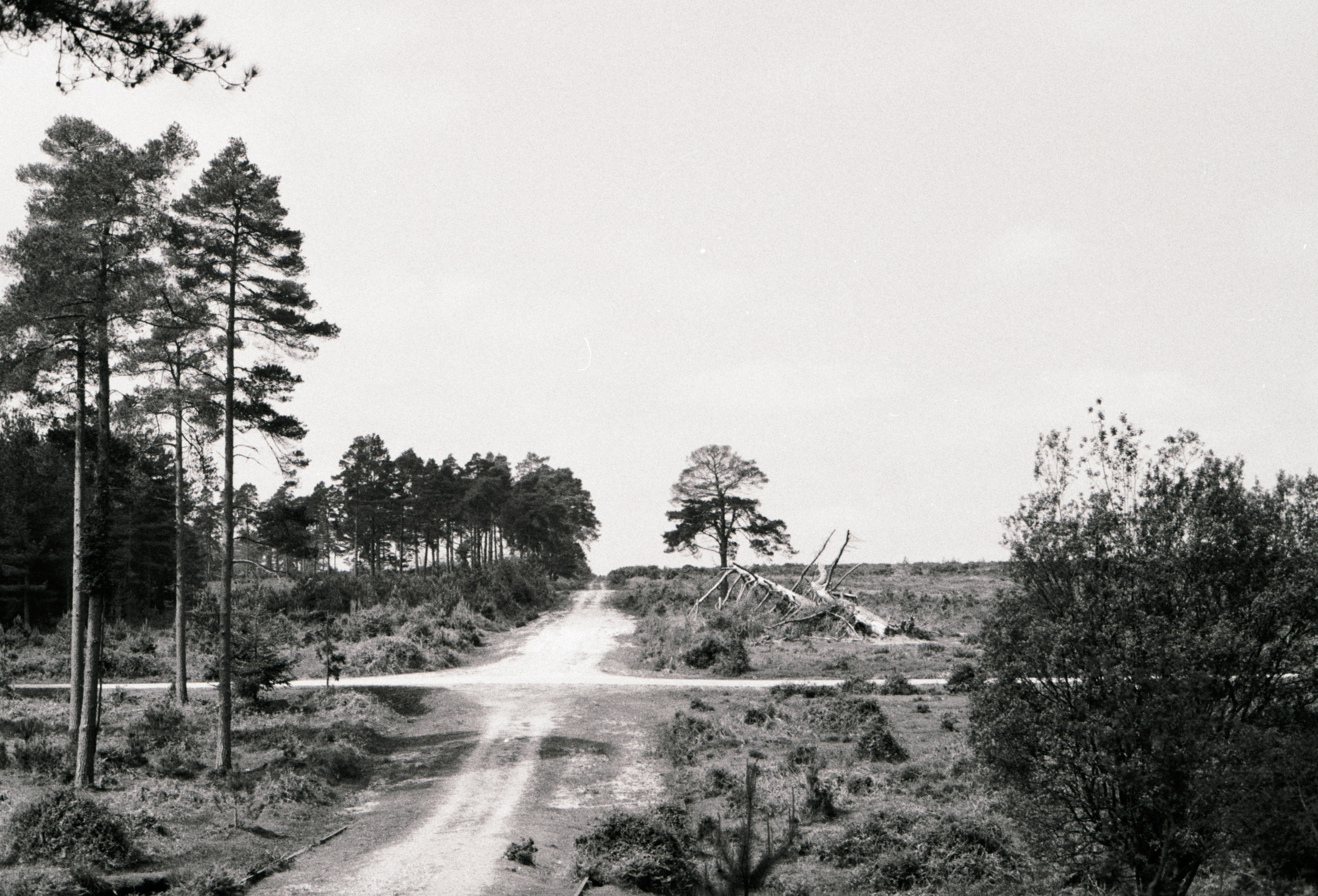 Photo by anniespratt