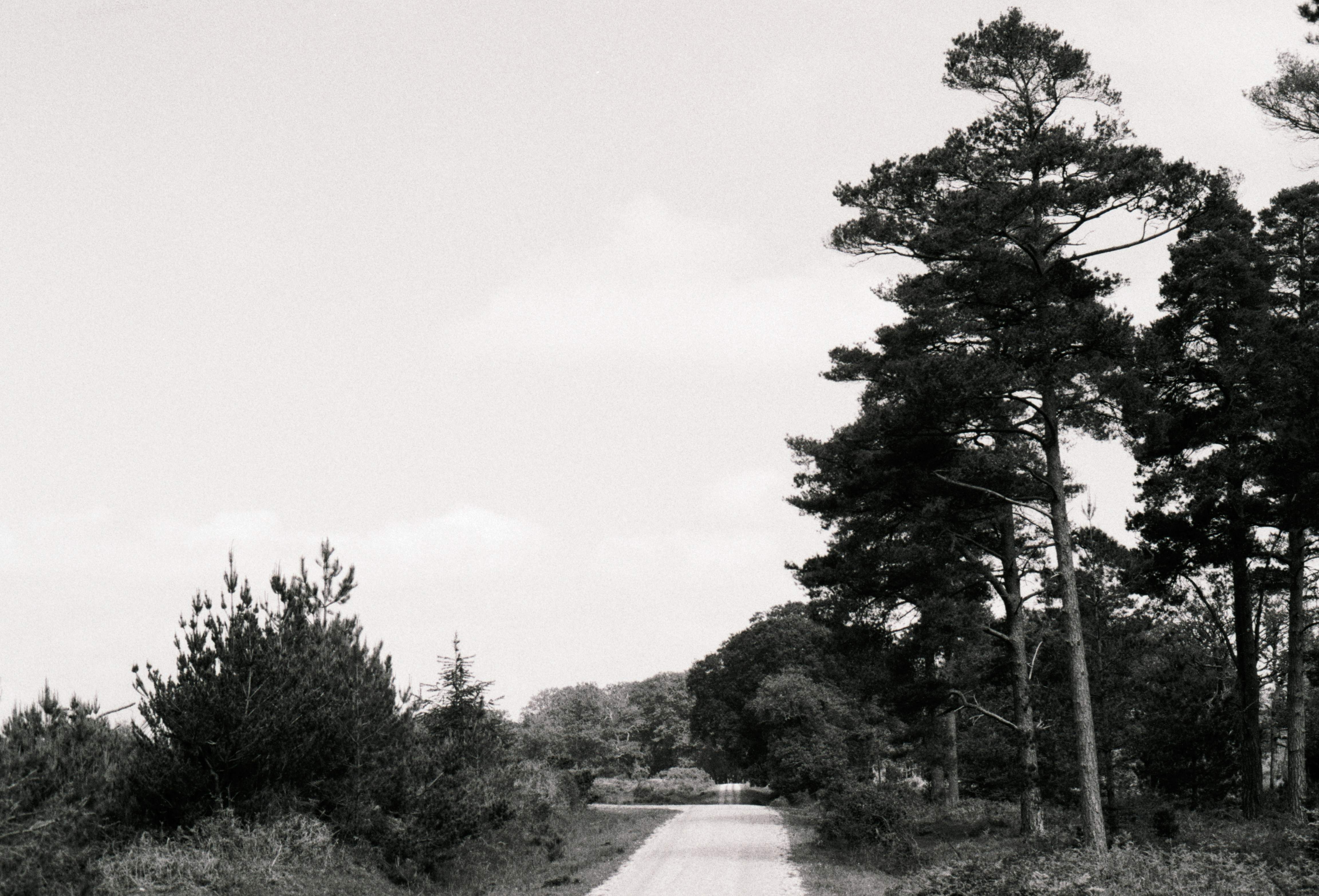 Photo by anniespratt