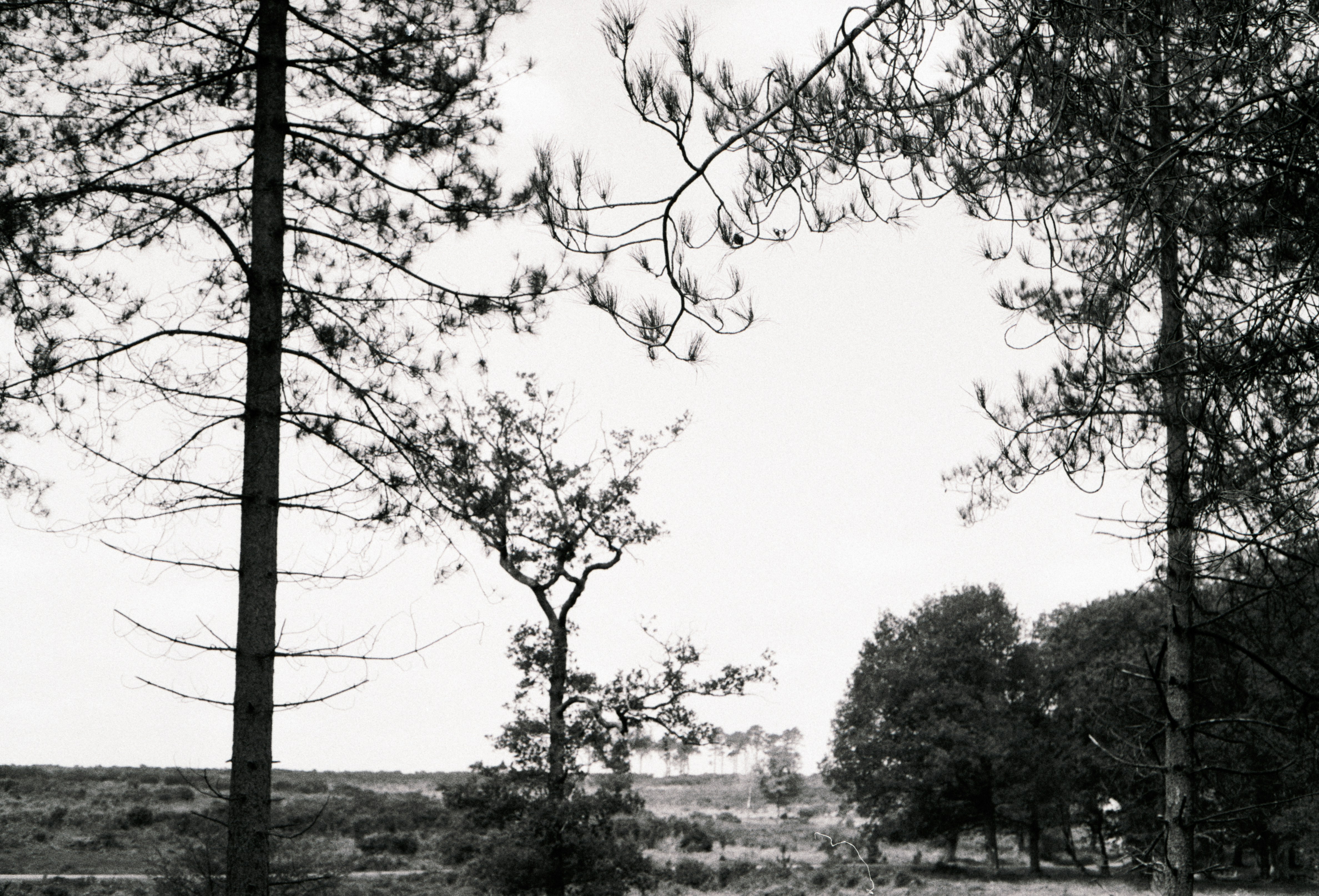 Photo by anniespratt