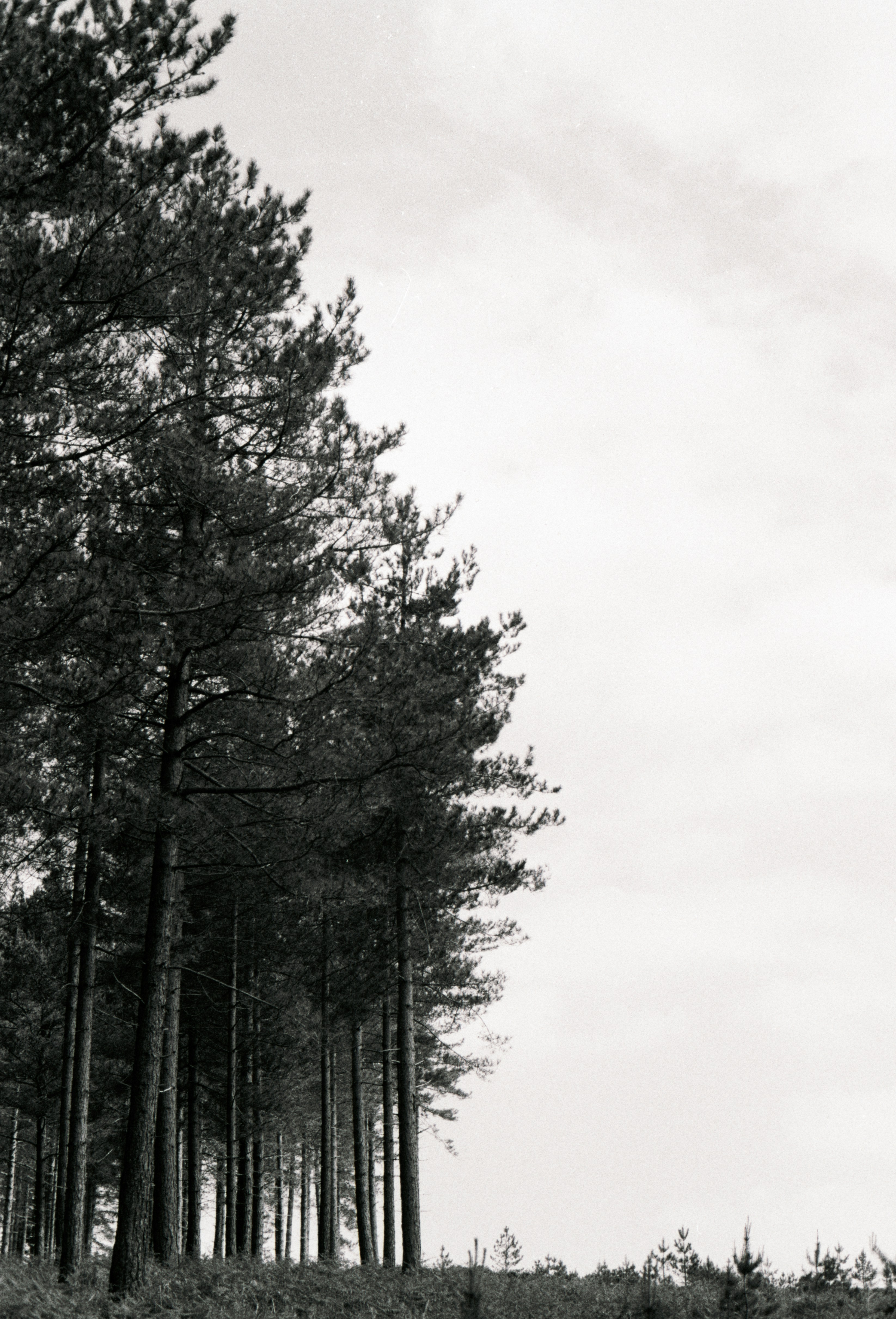 Photo by anniespratt