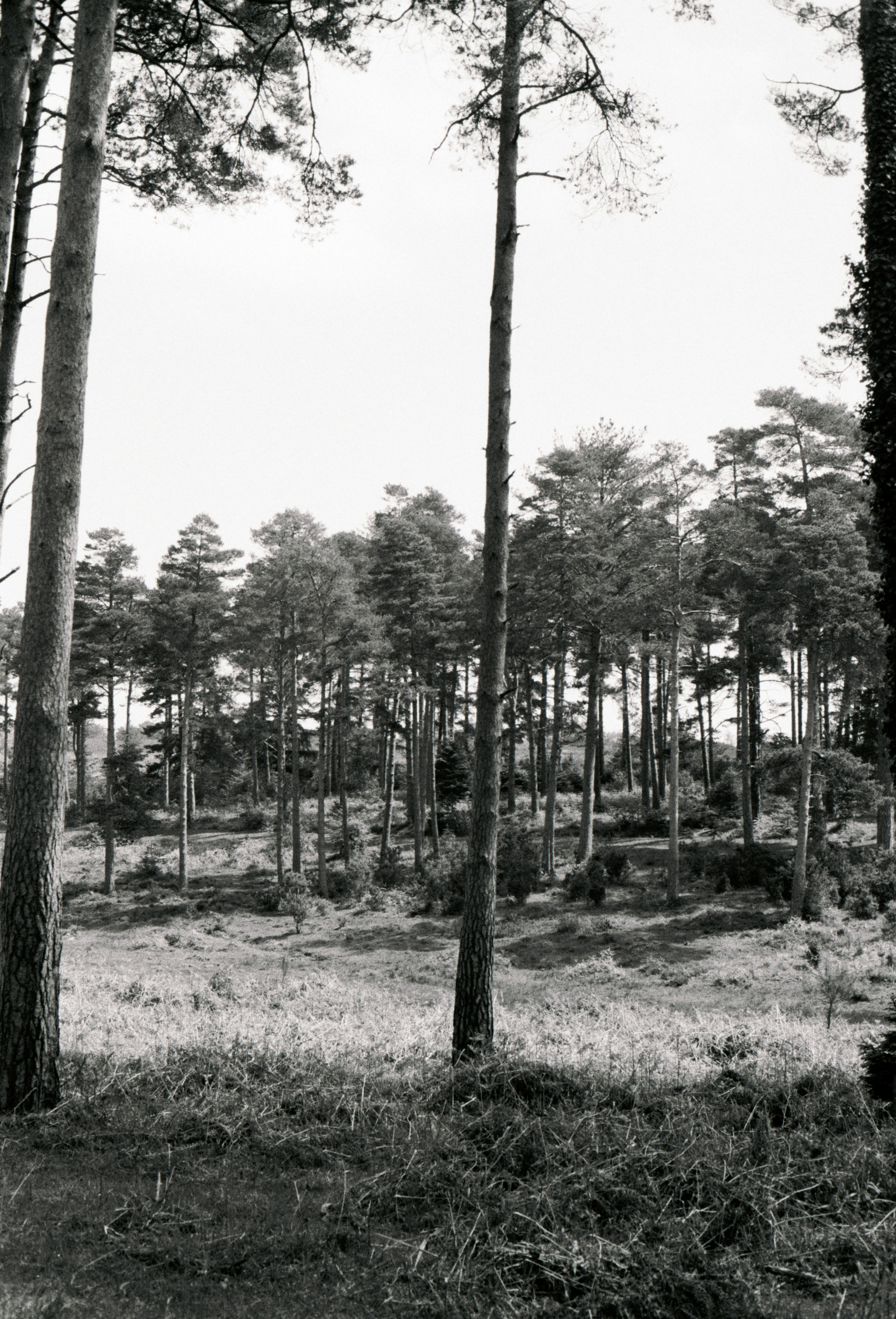 Photo by anniespratt