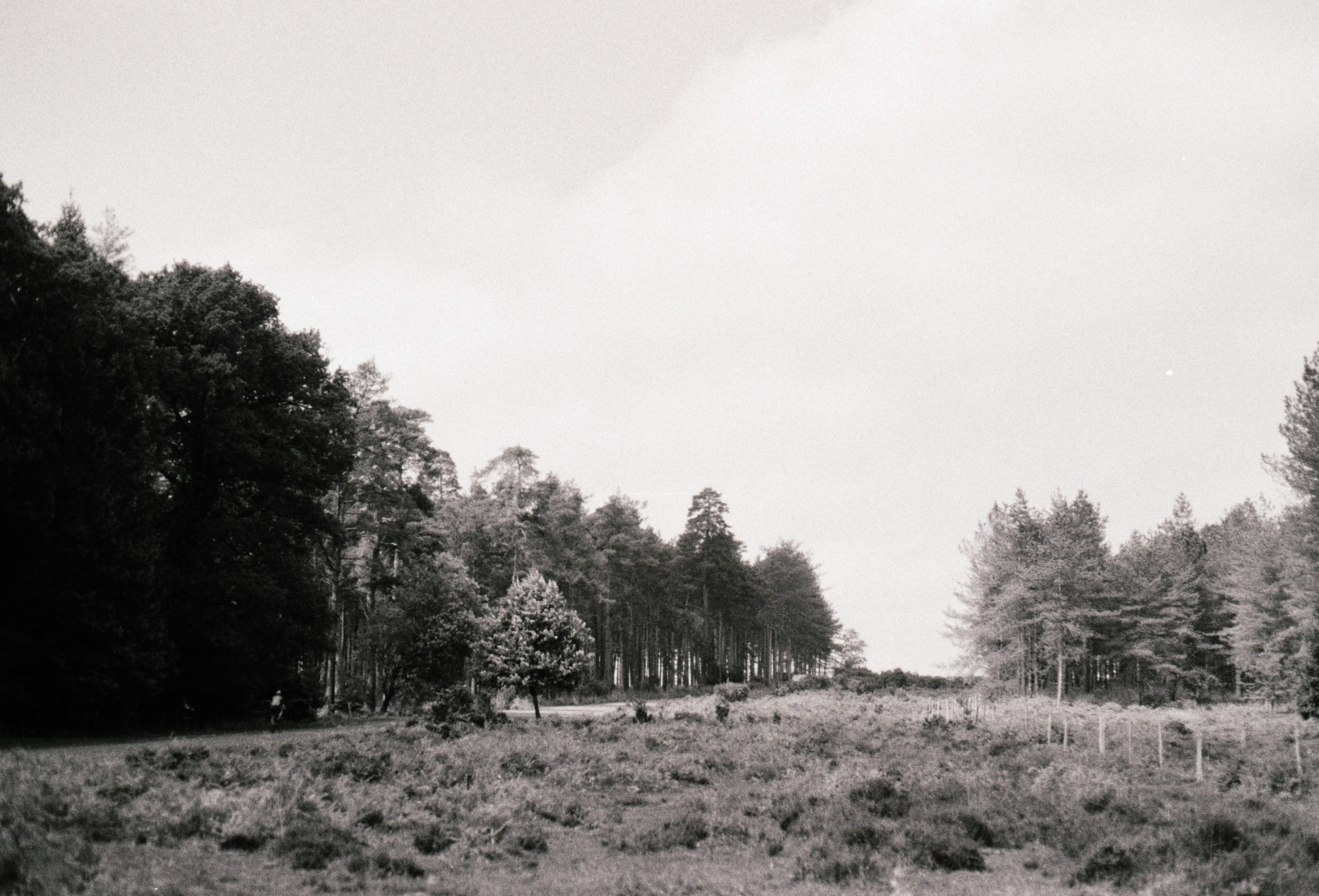 Photo by anniespratt