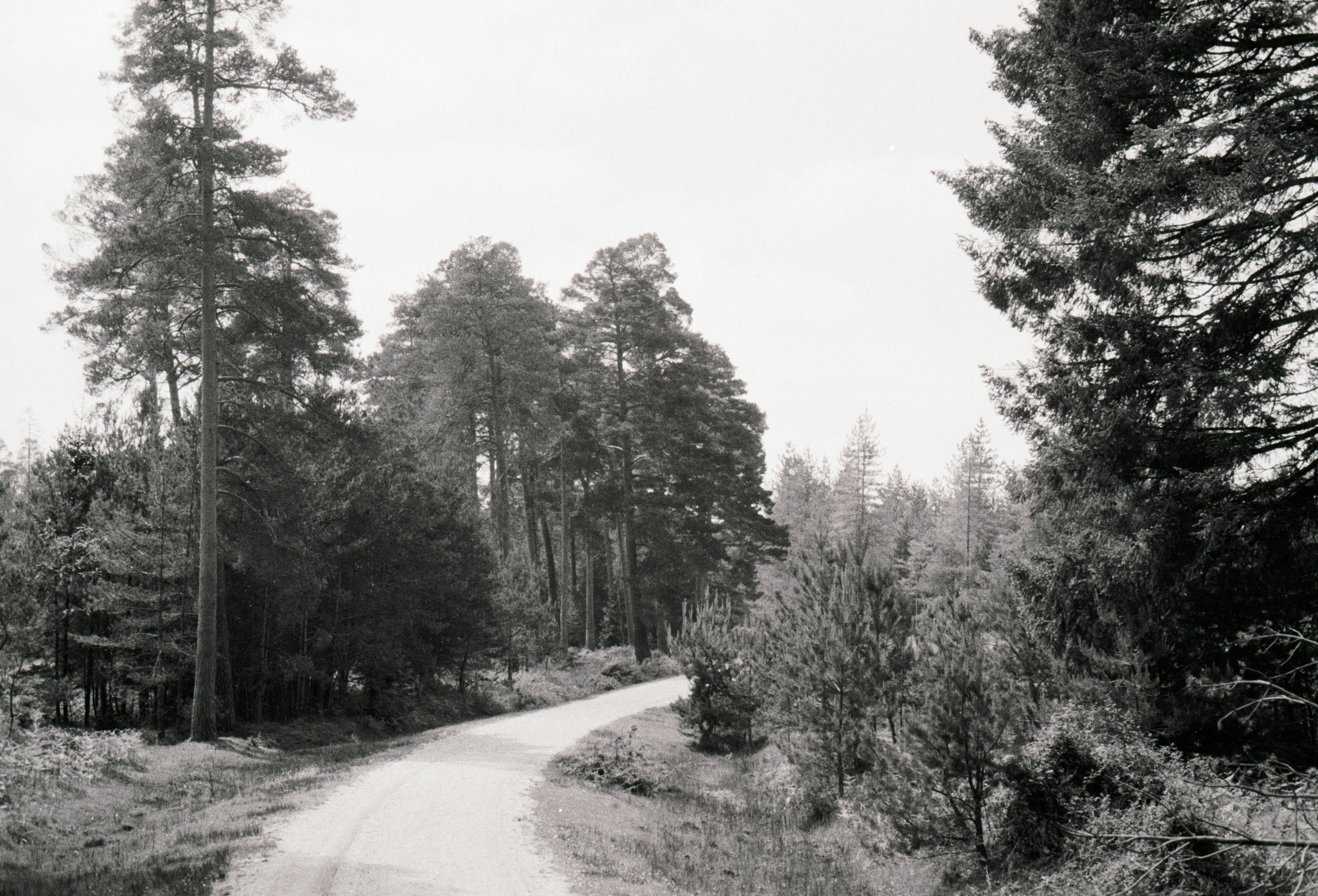 Photo by anniespratt