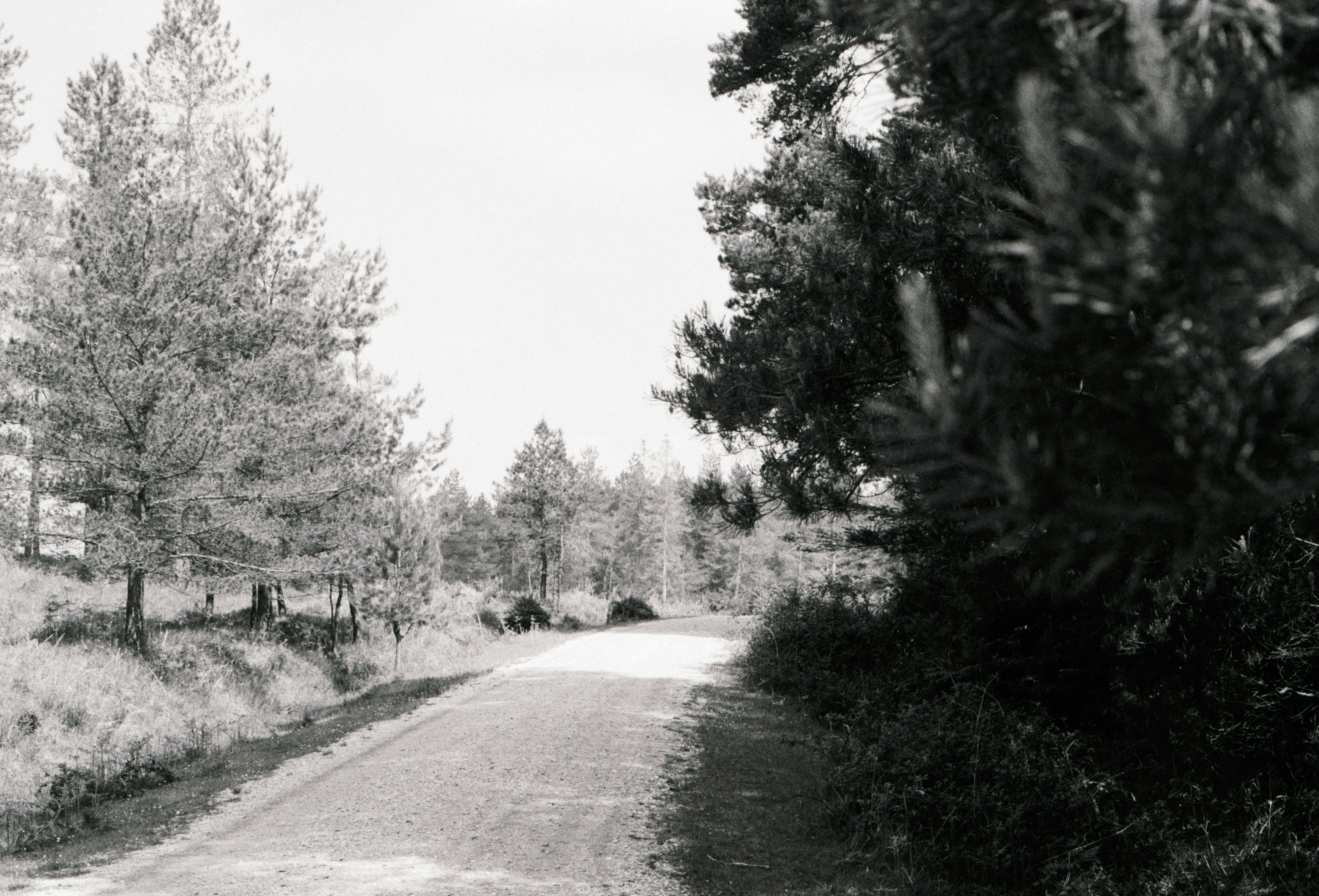 Photo by anniespratt