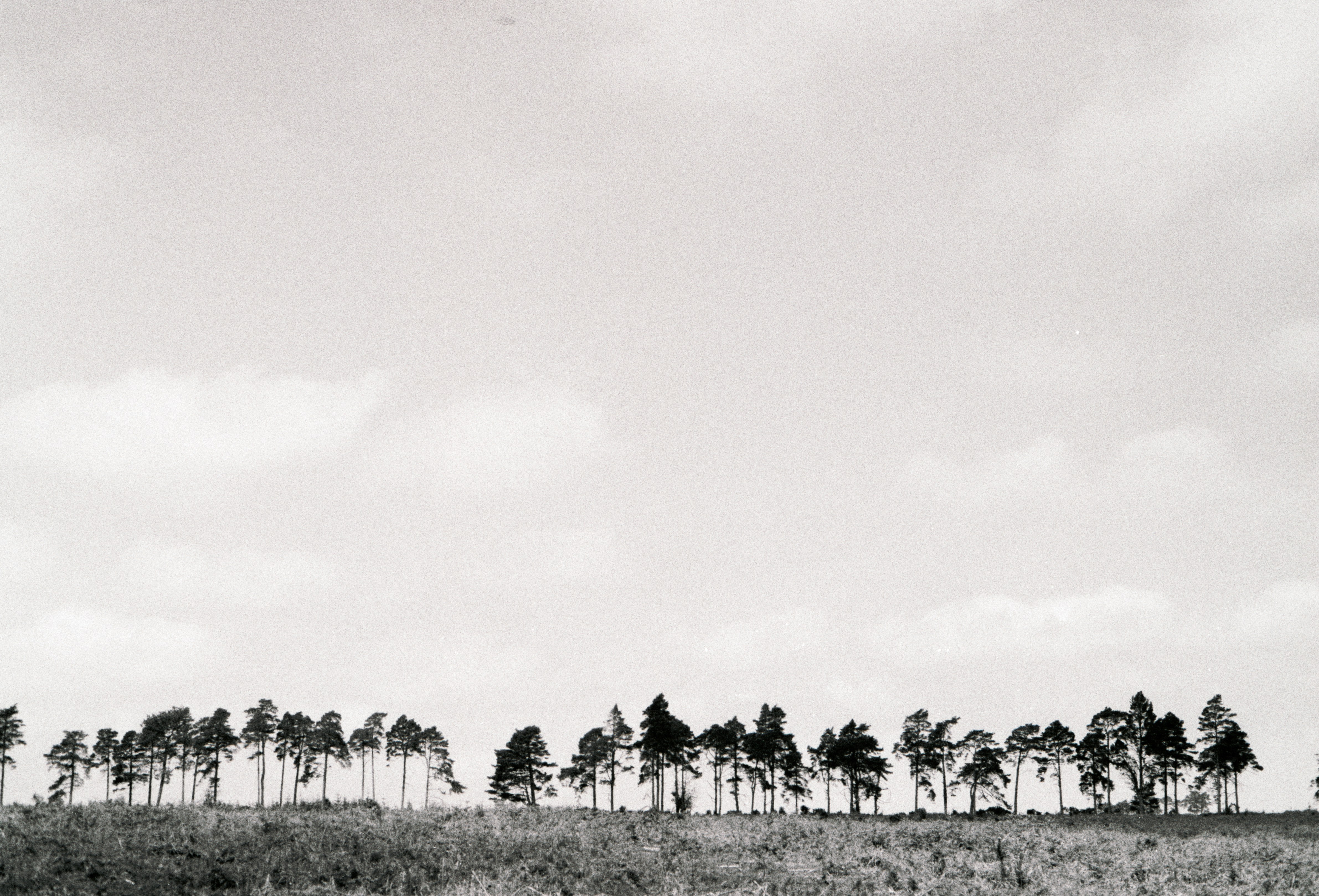 Photo by anniespratt