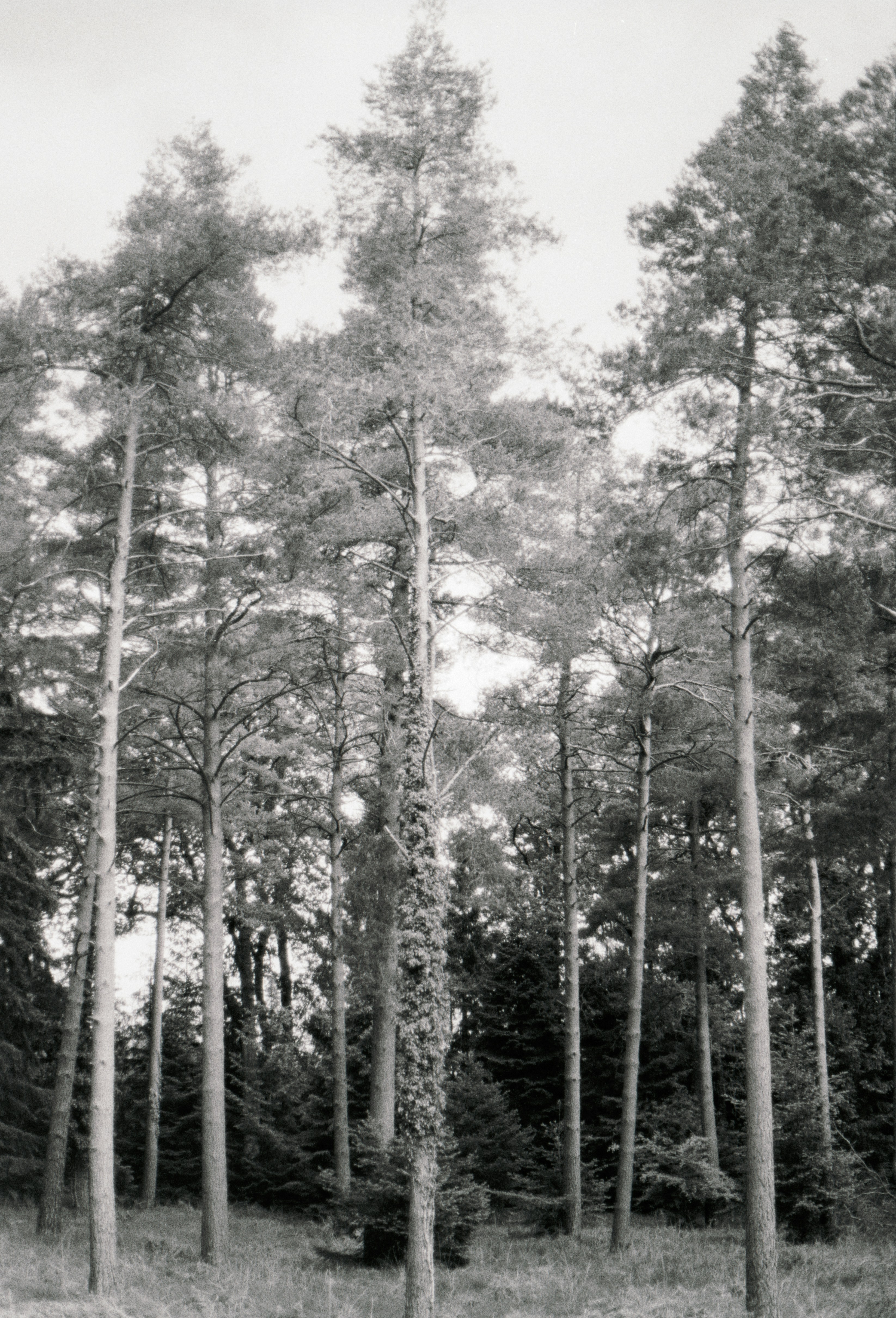 Photo by anniespratt