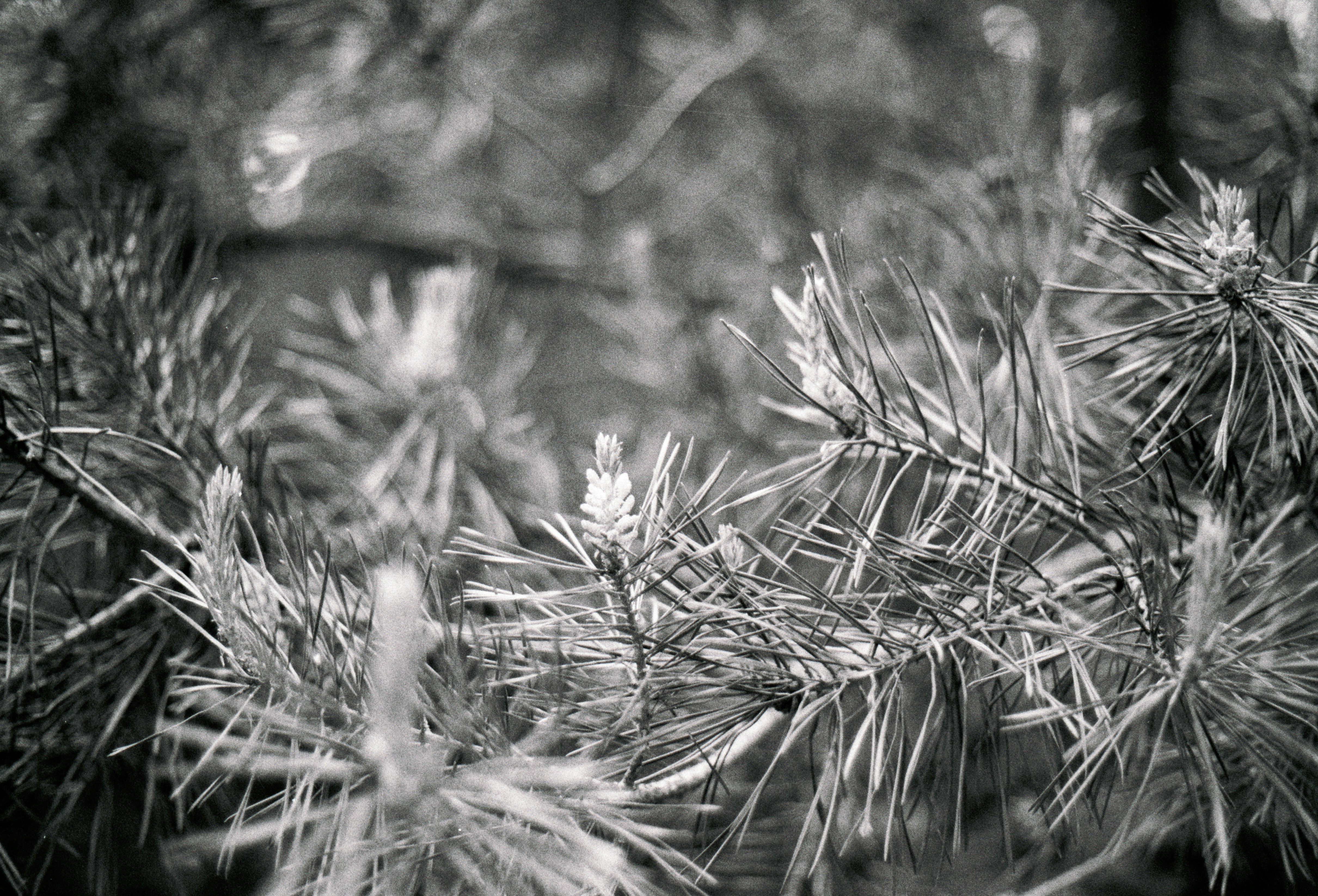 Photo by anniespratt