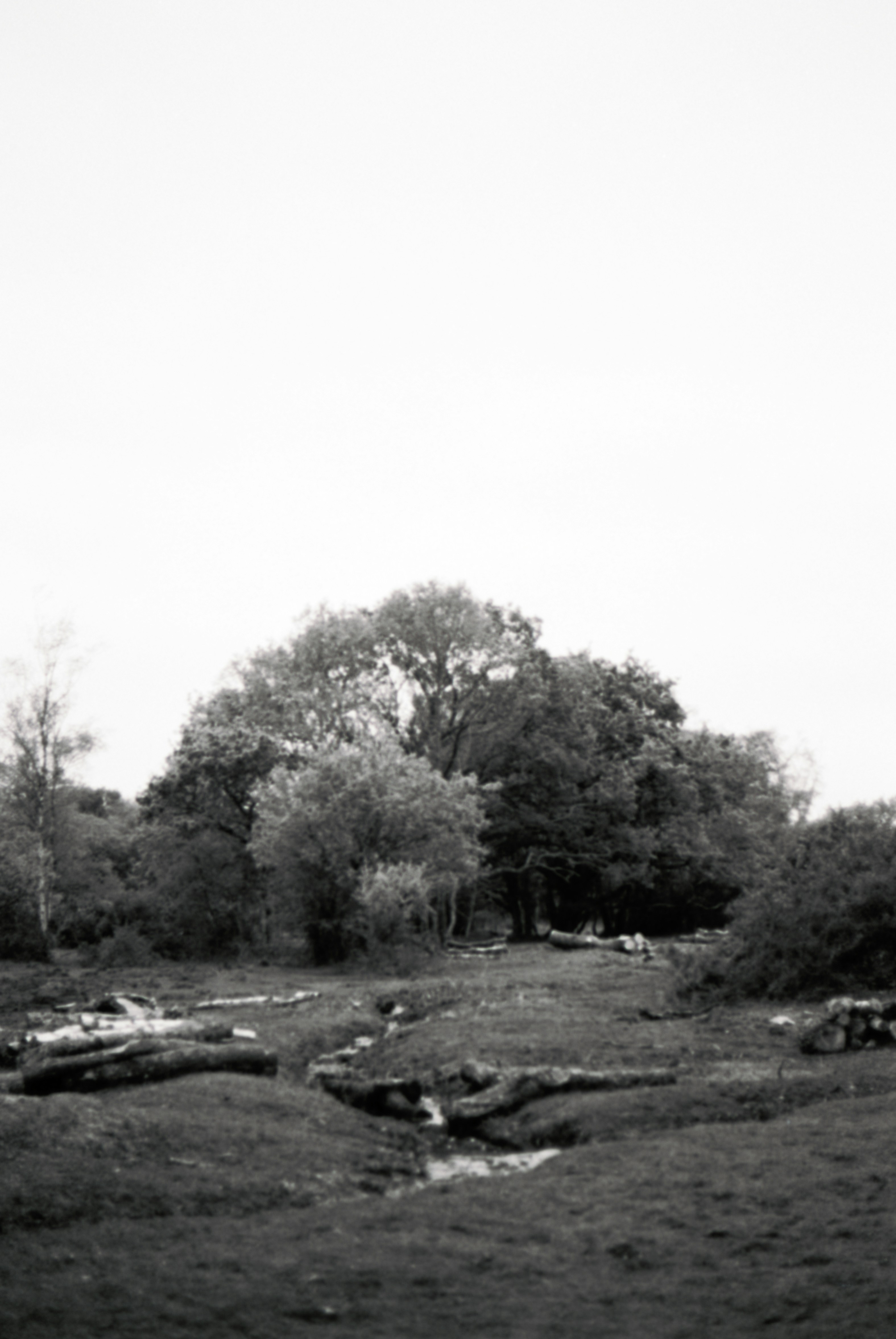 Photo by anniespratt