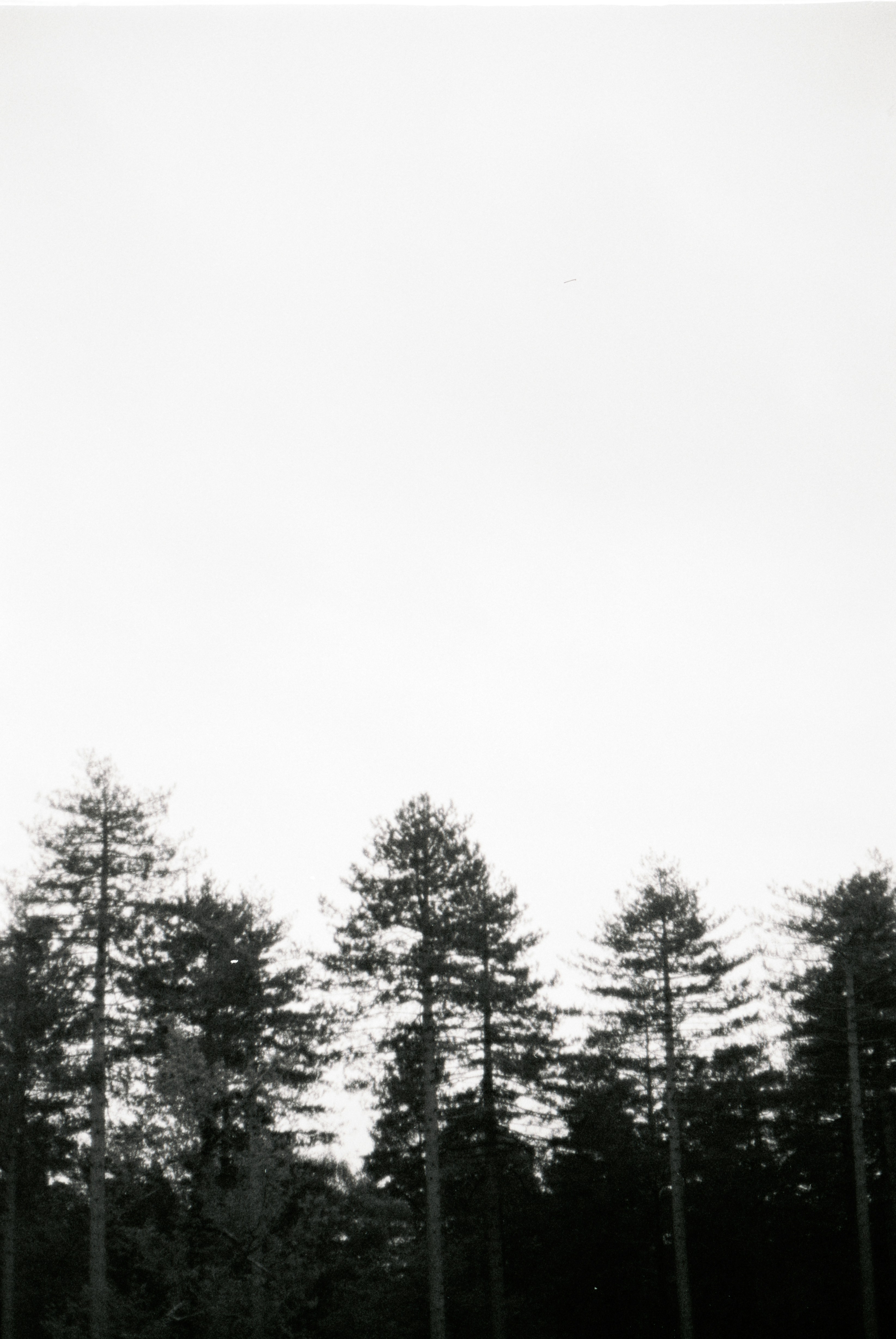 Photo by anniespratt