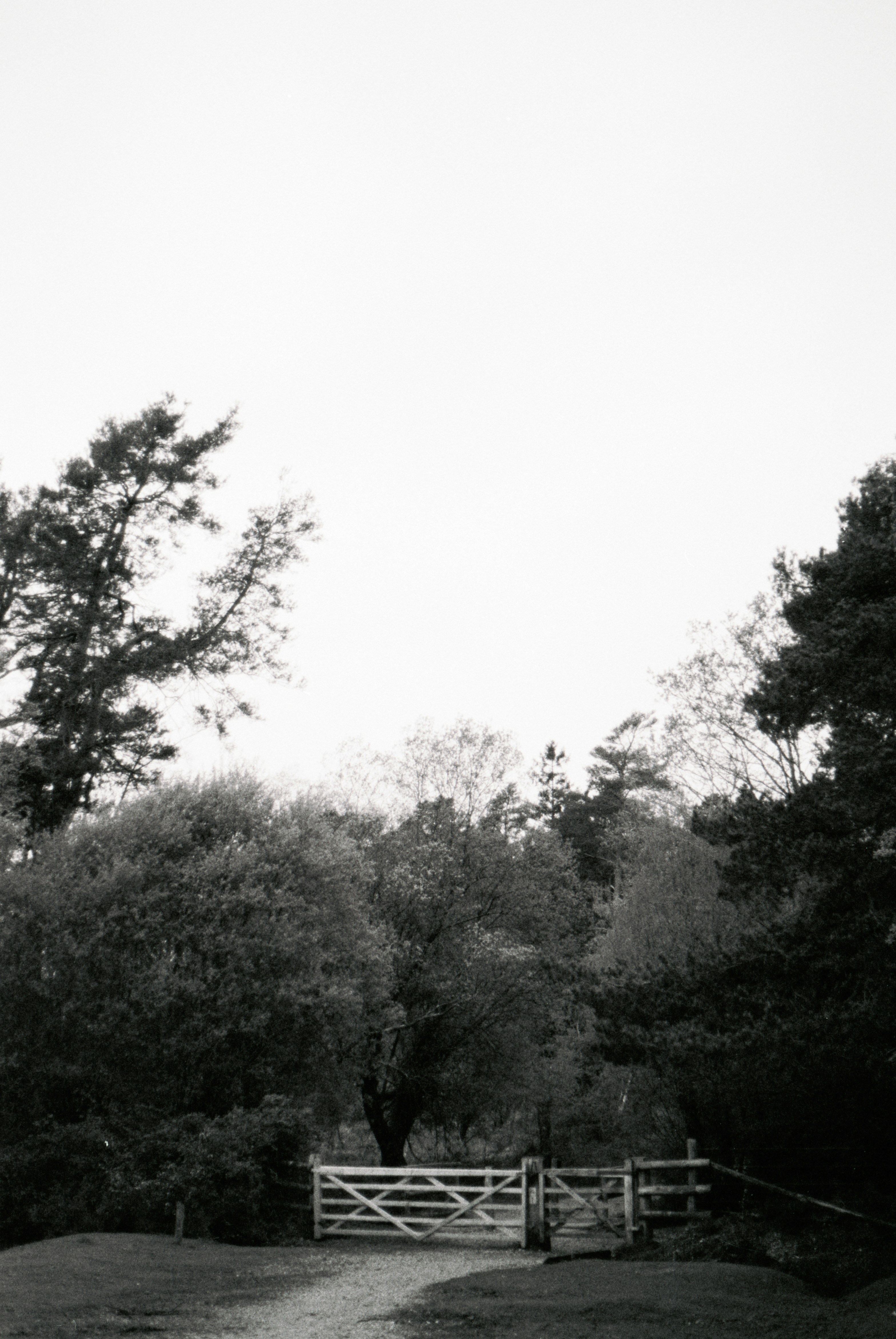 Photo by anniespratt