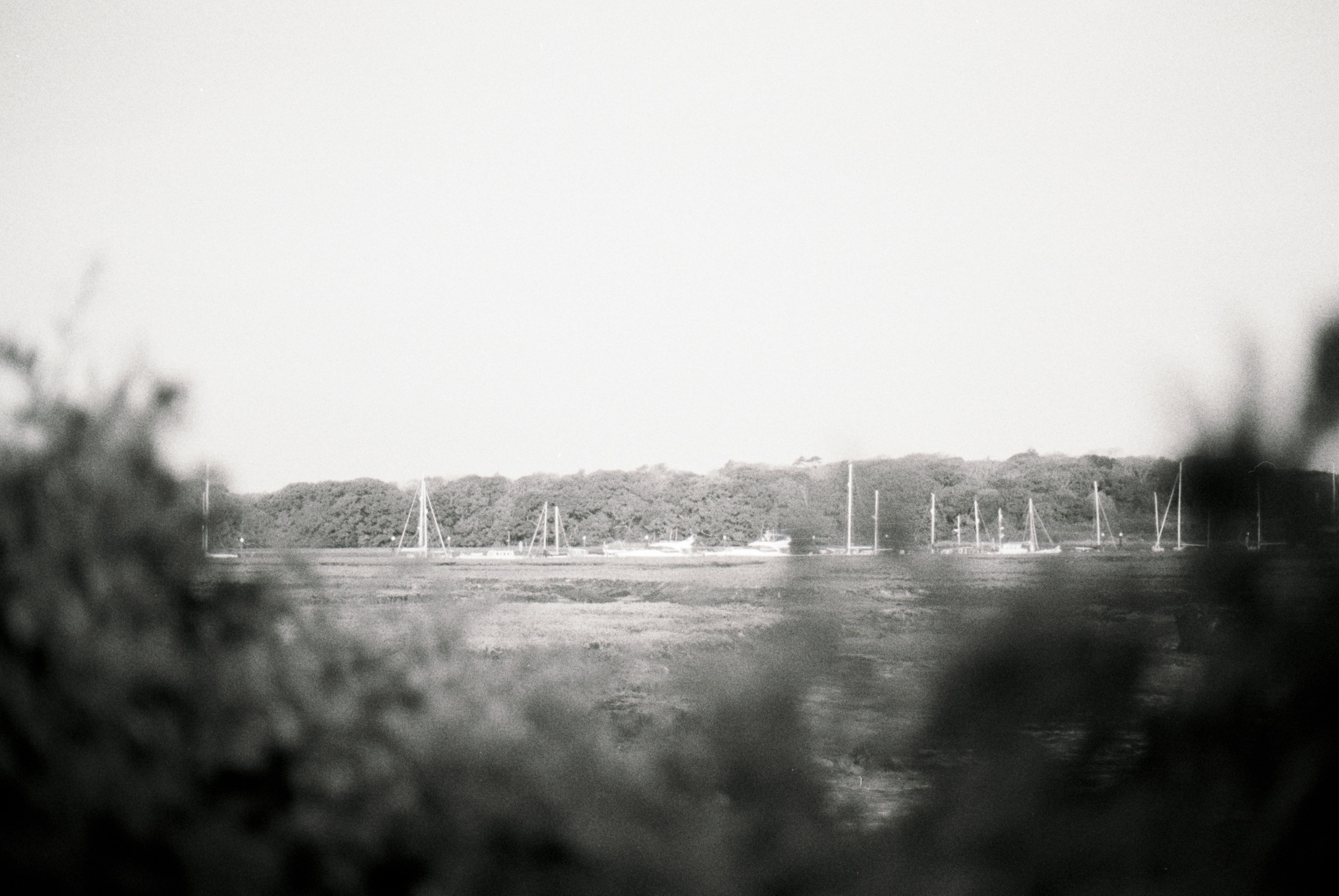 Photo by anniespratt