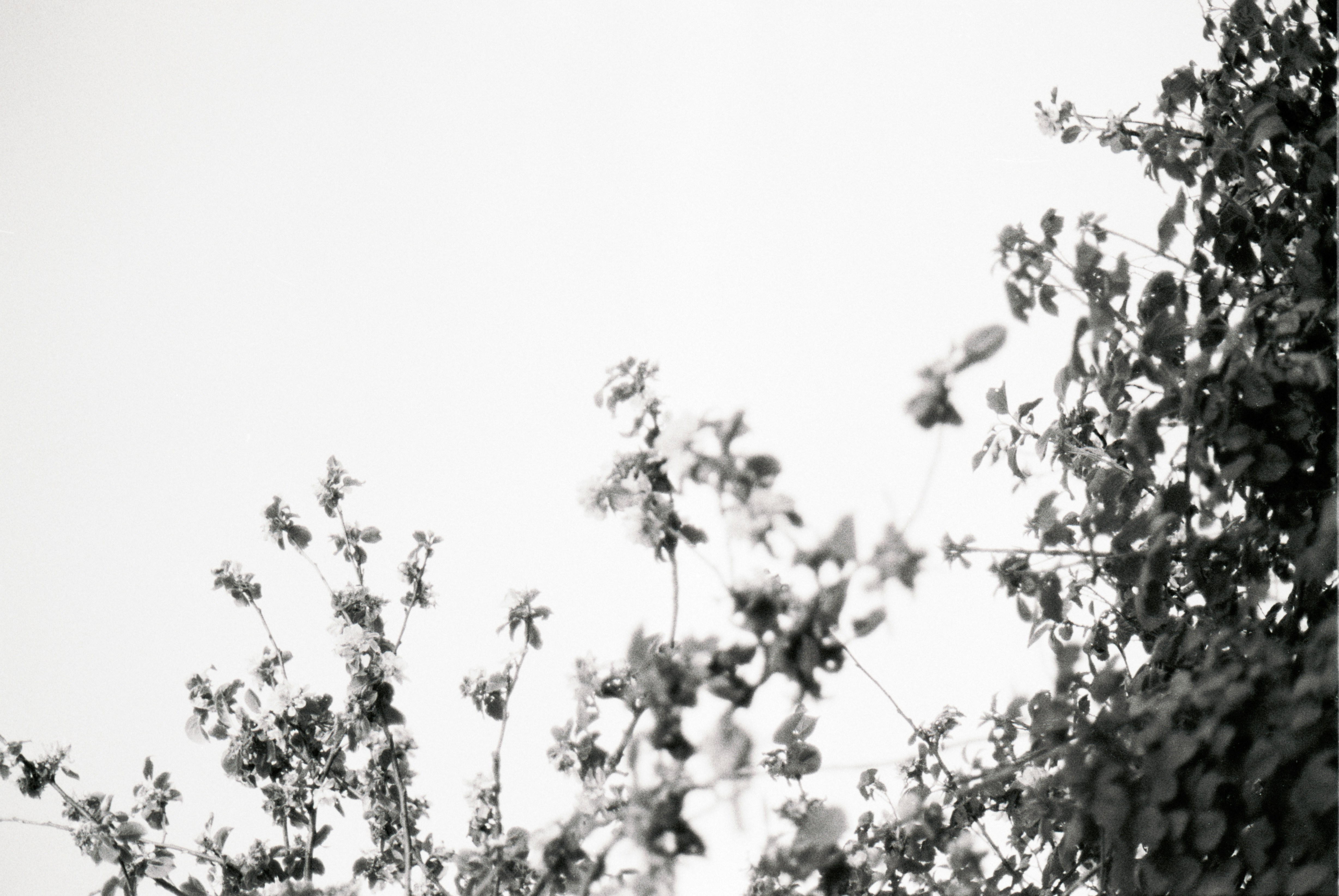 Photo by anniespratt