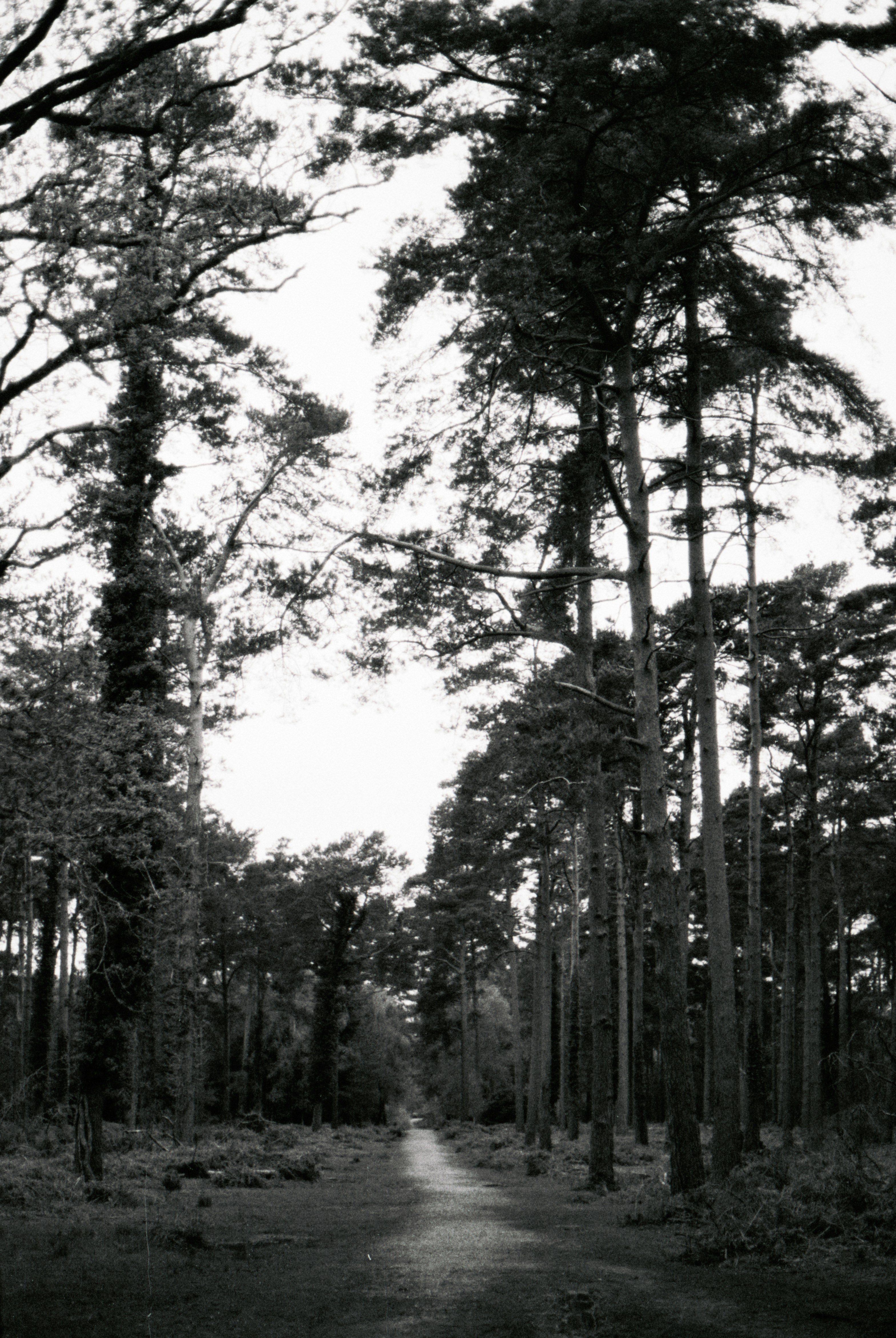 Photo by anniespratt