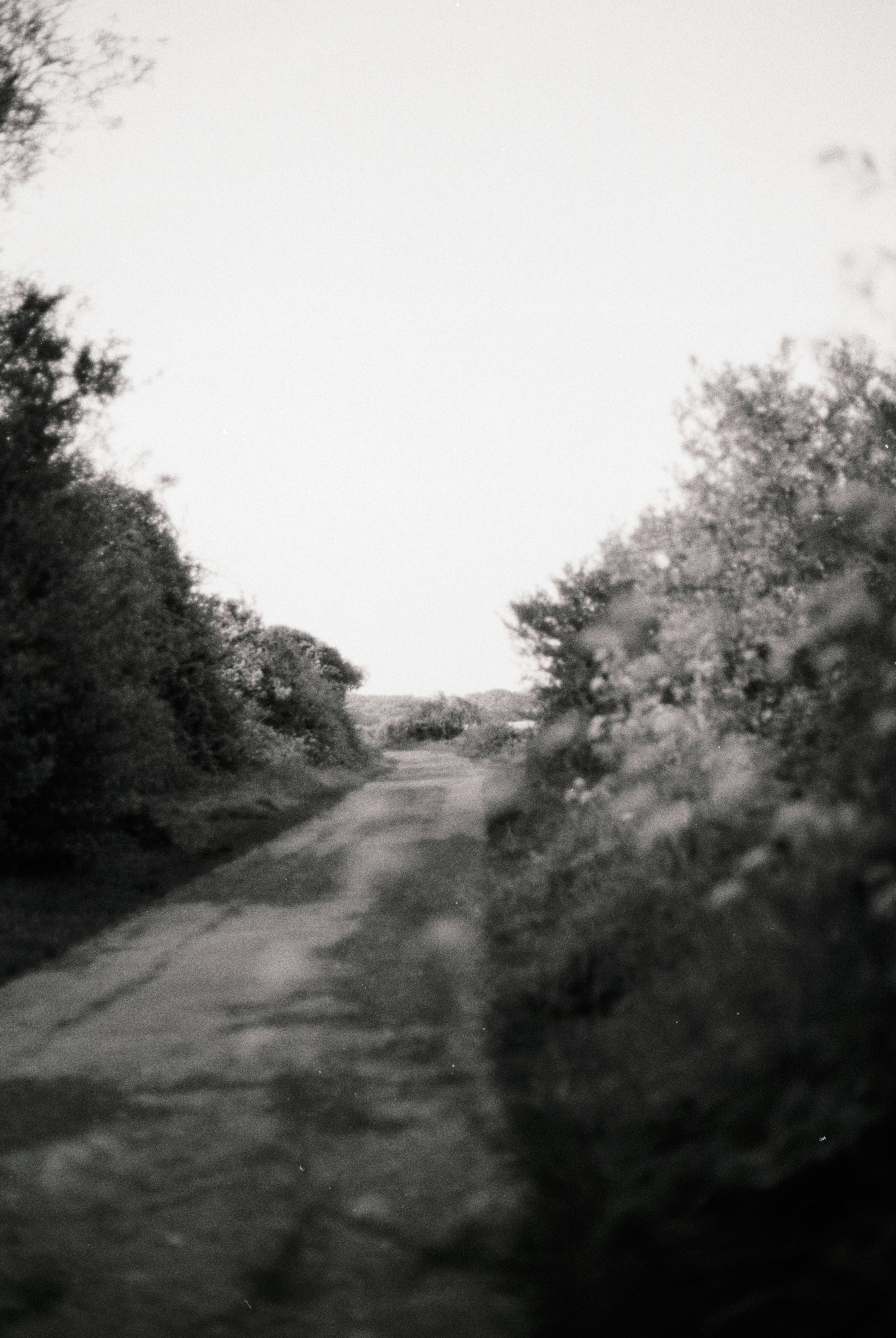 Photo by anniespratt