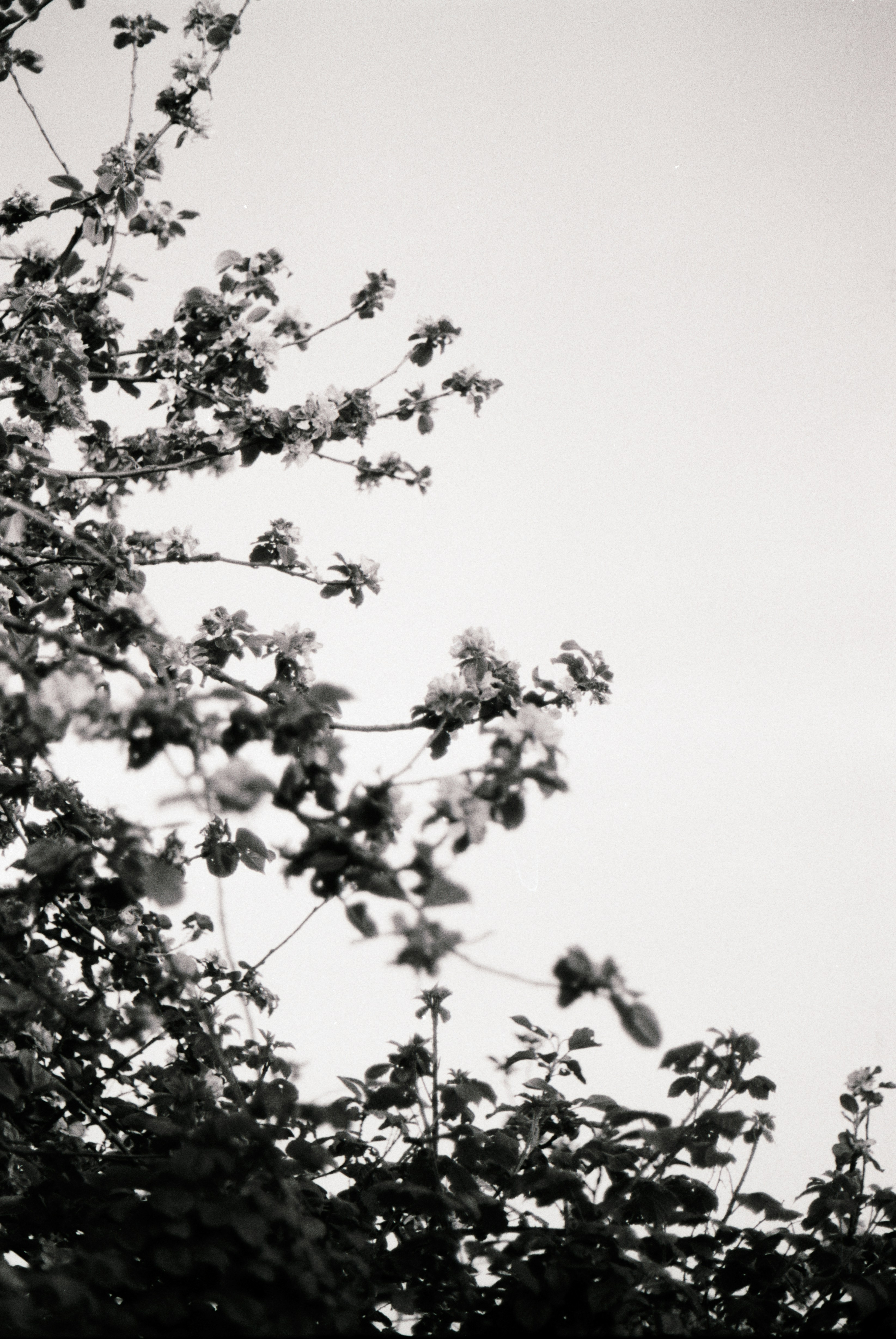 Photo by anniespratt