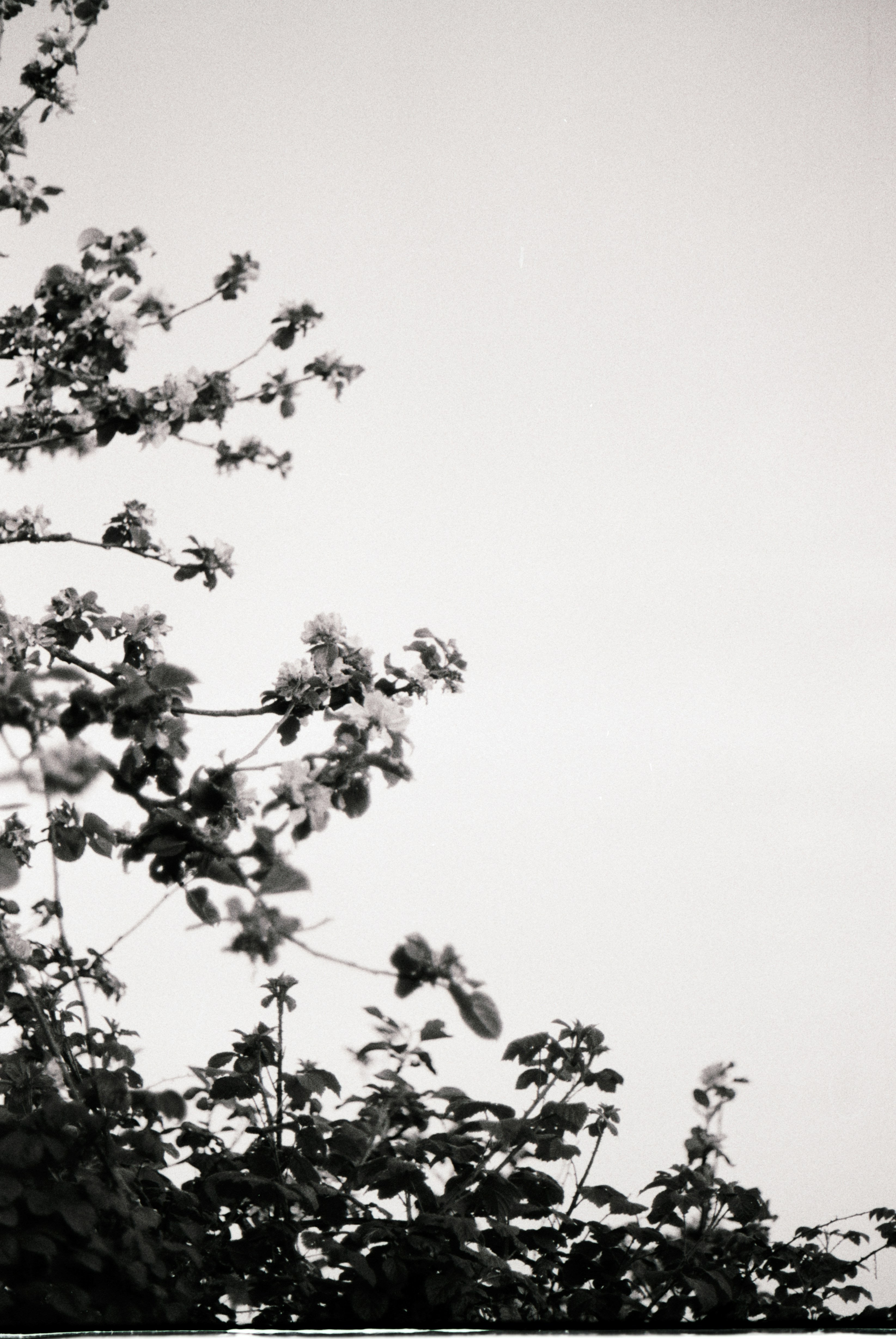 Photo by anniespratt